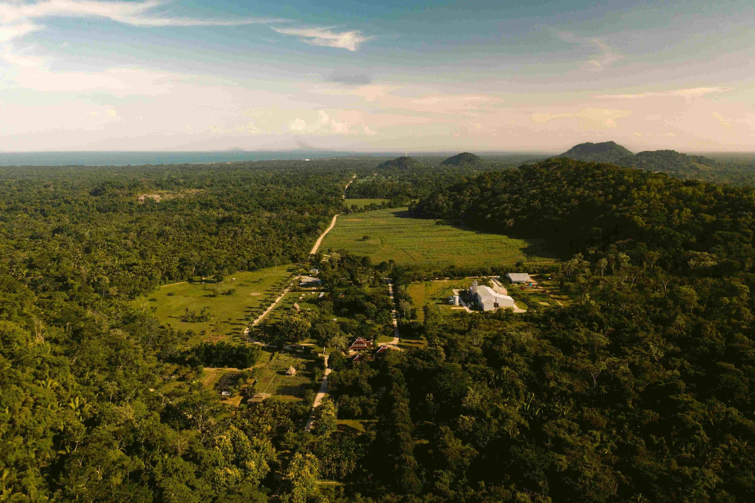 CTL - Farm (drone) 2 (1).jpeg