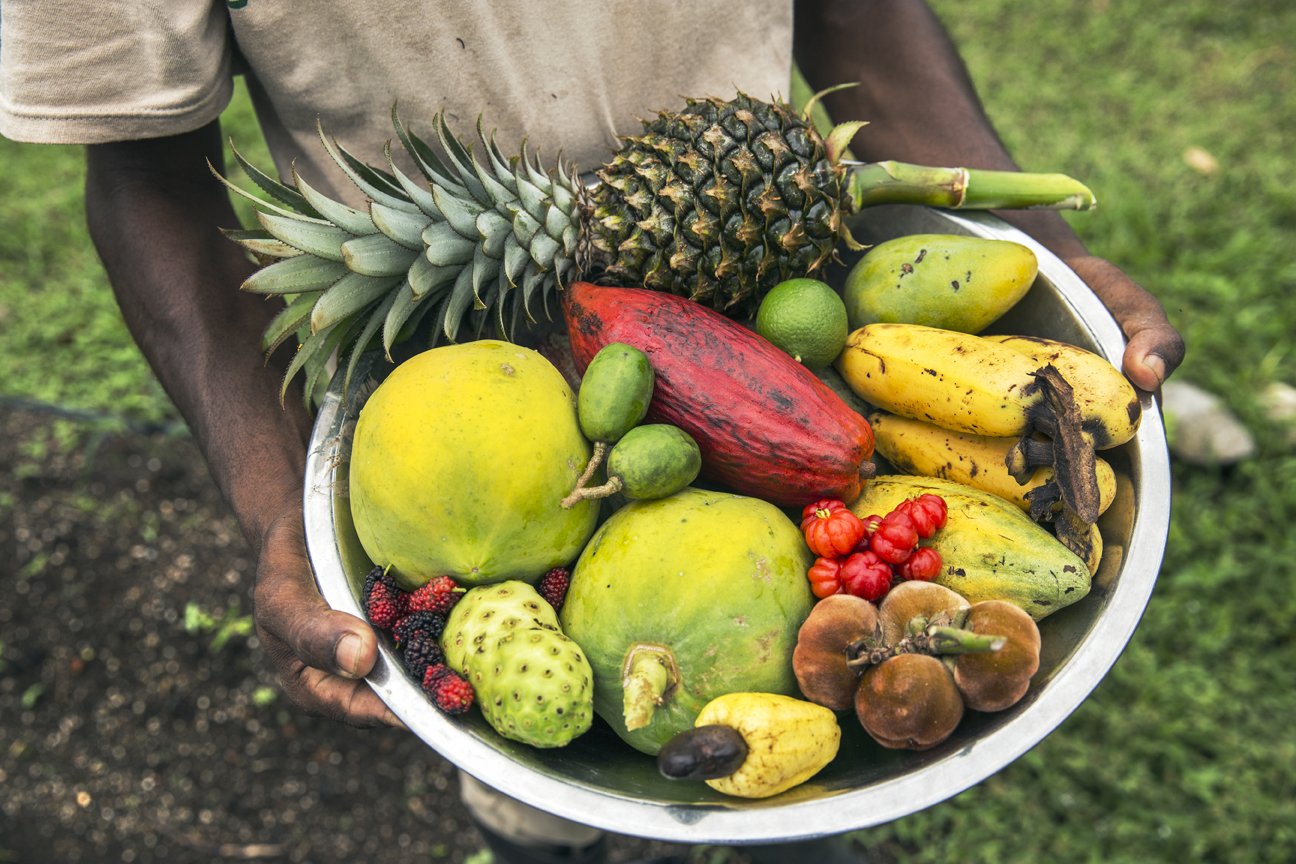 CTL - Farm Fruit.jpg