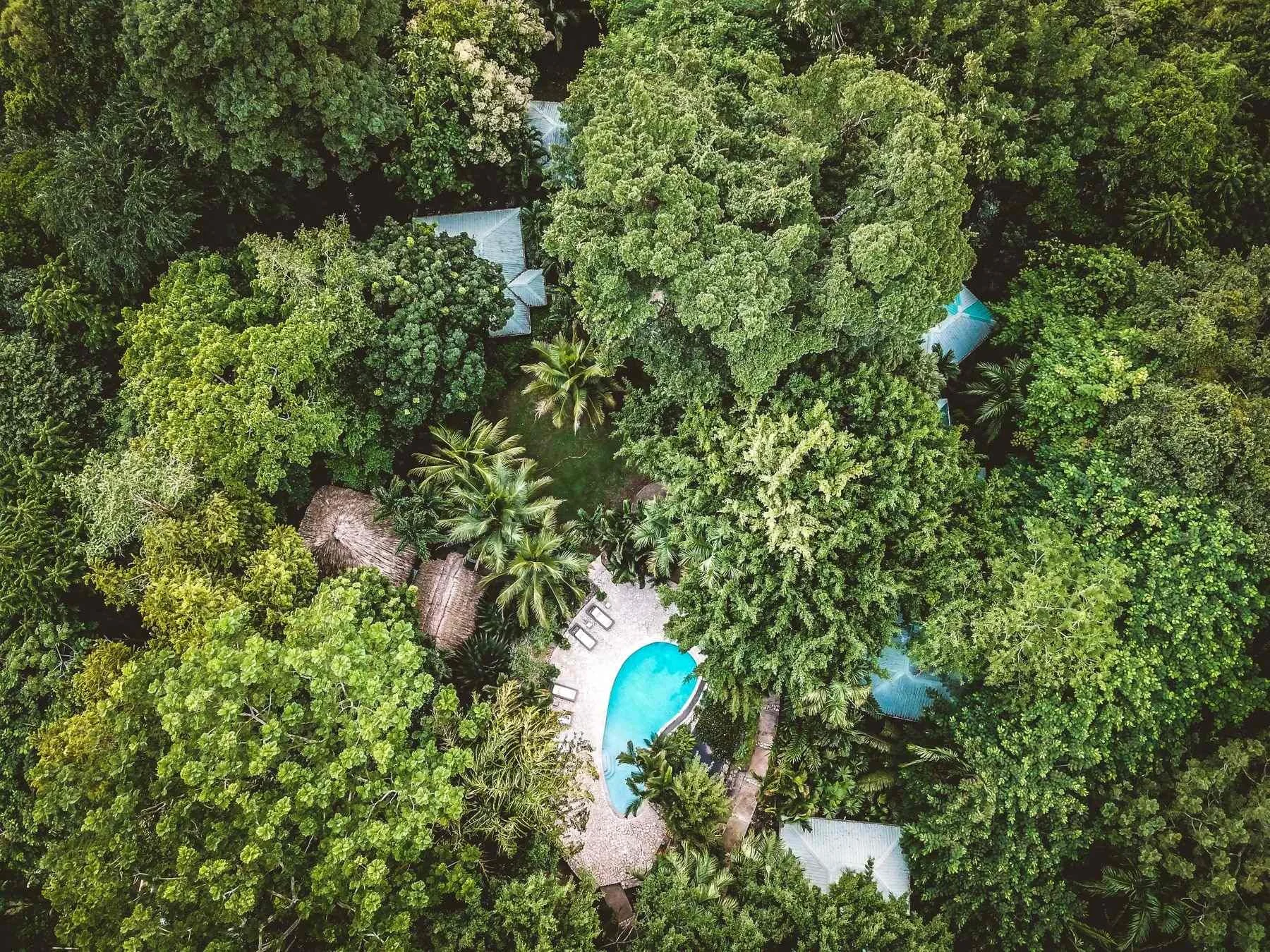 CTL - Pool (Drone).jpeg