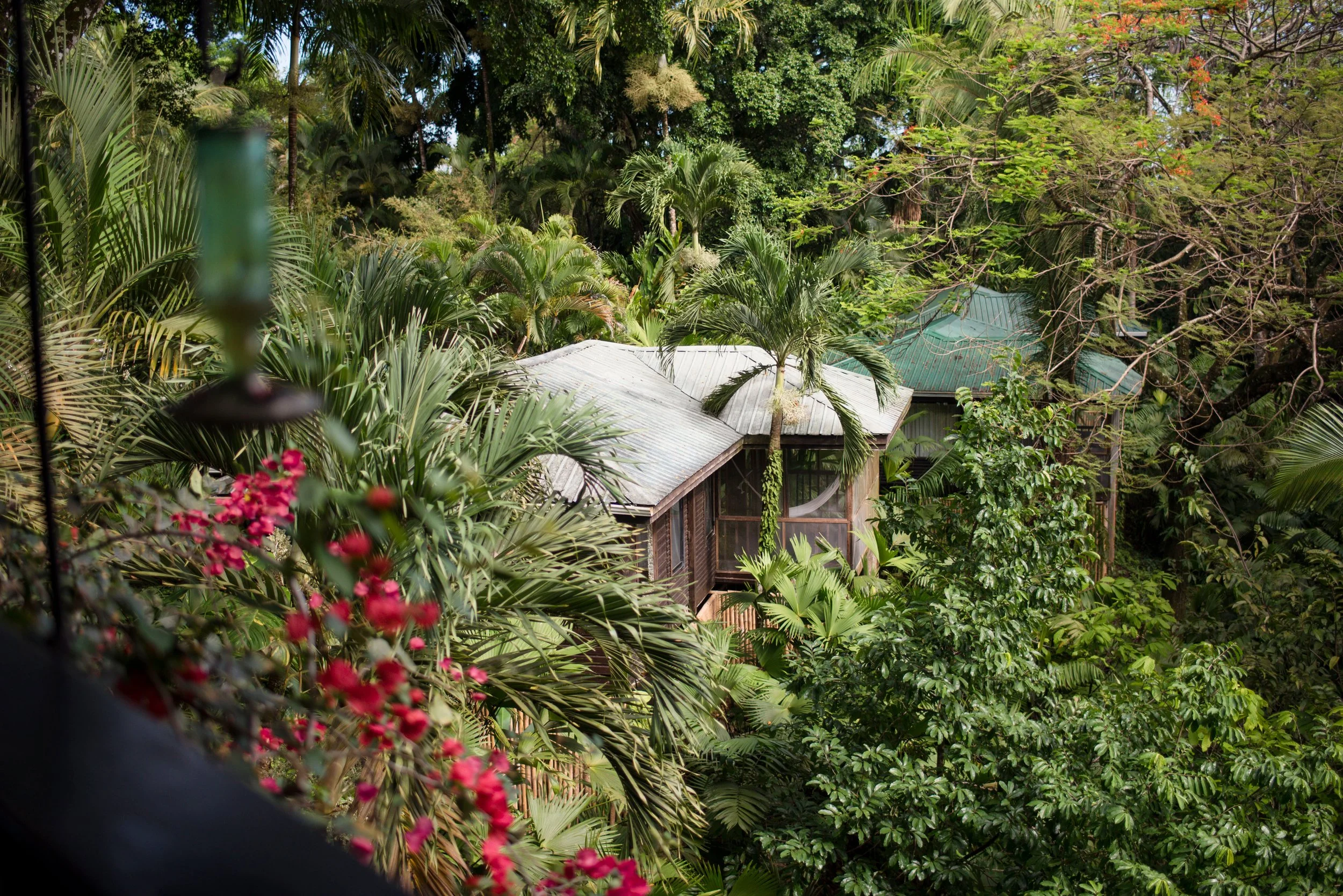 CTL - Rooms - Jungle Suites 3.jpg