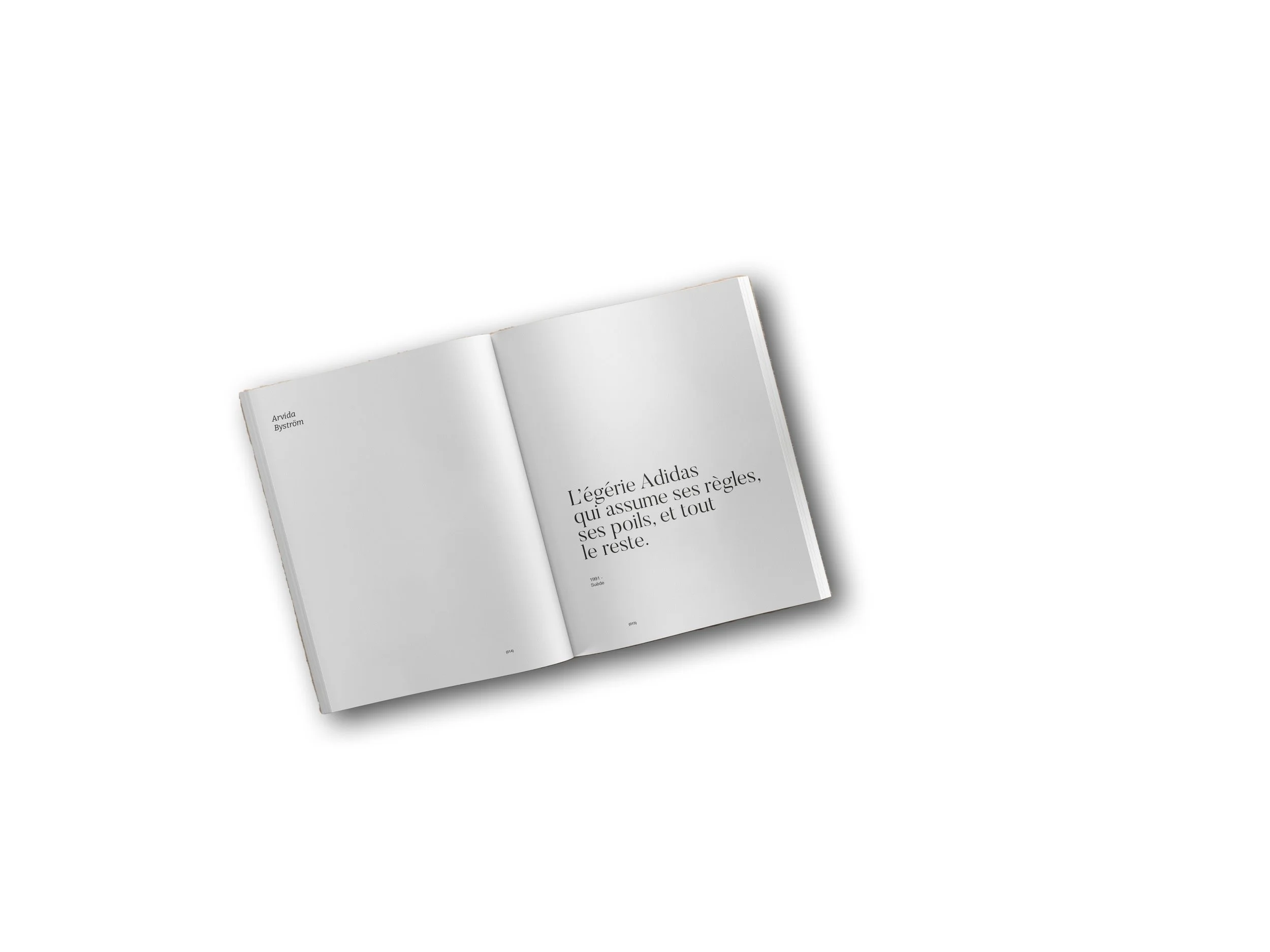 Mockup ARVIDA copie.jpg