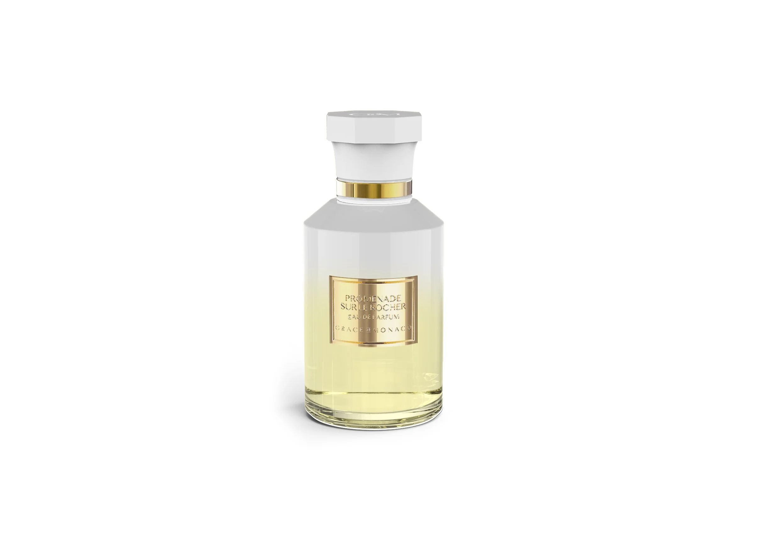 Piste 02V ter 100 ML.jpg