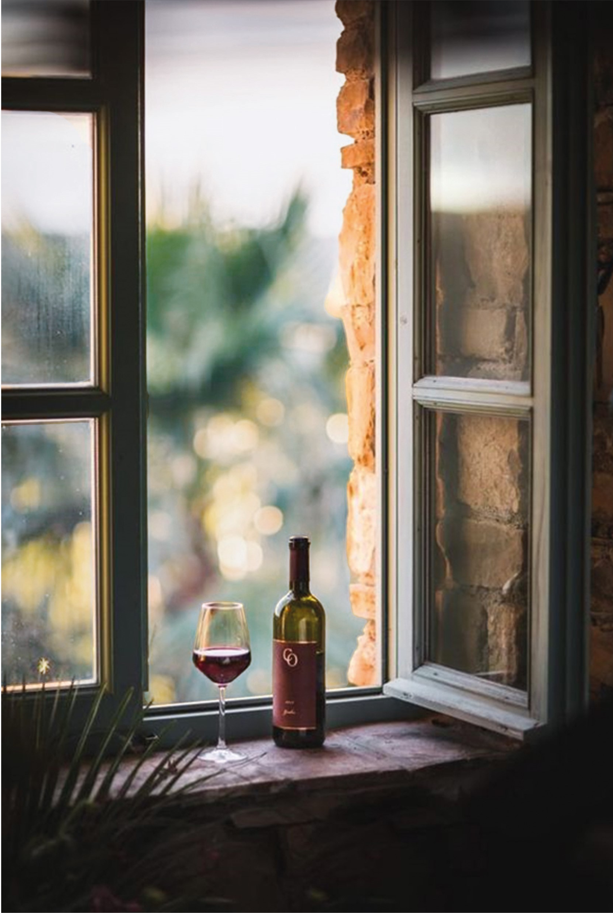 Une fenêtre  ouverte sur un vignoble