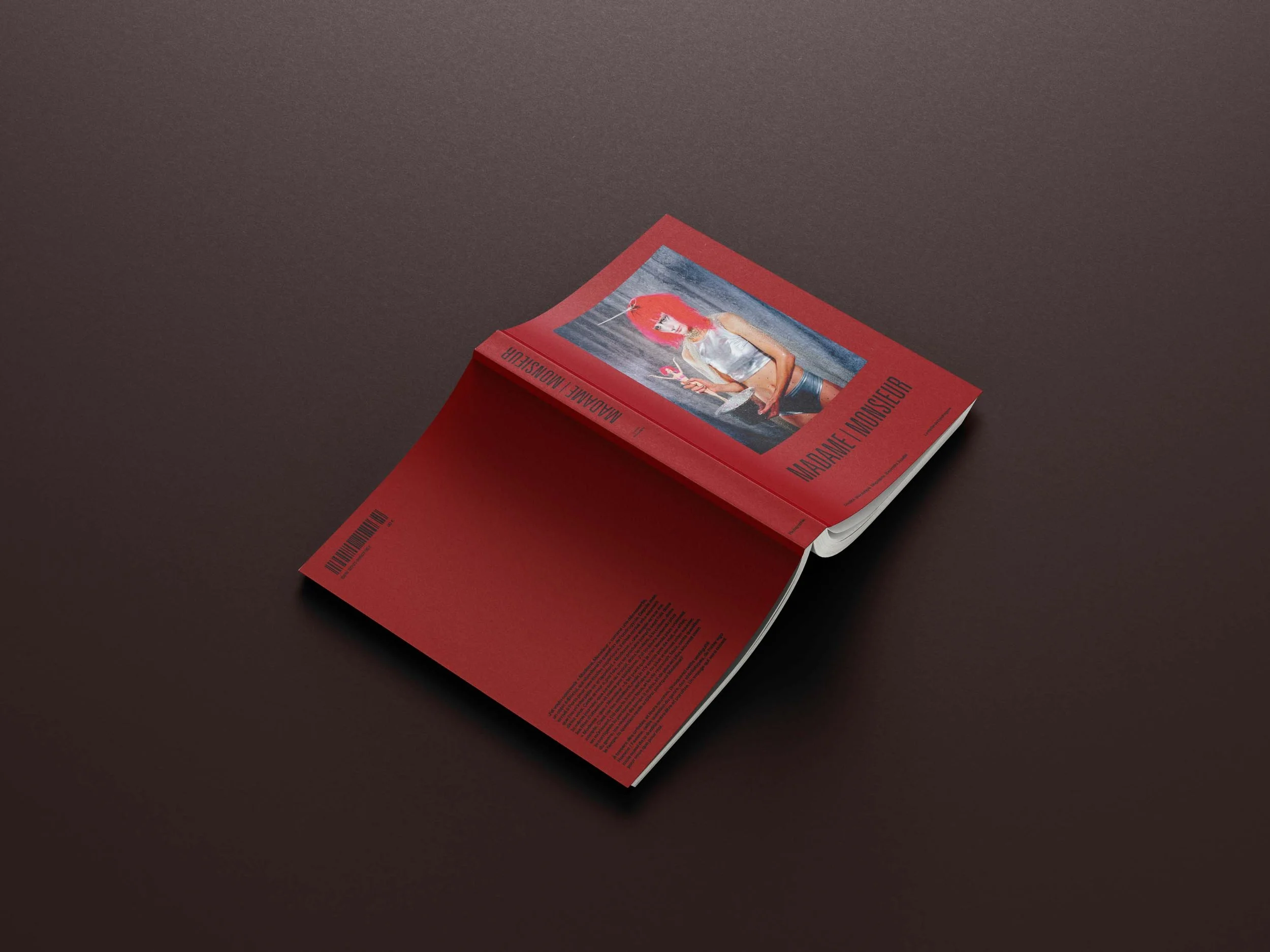 Free_Book_Mockup_8 copie.jpg