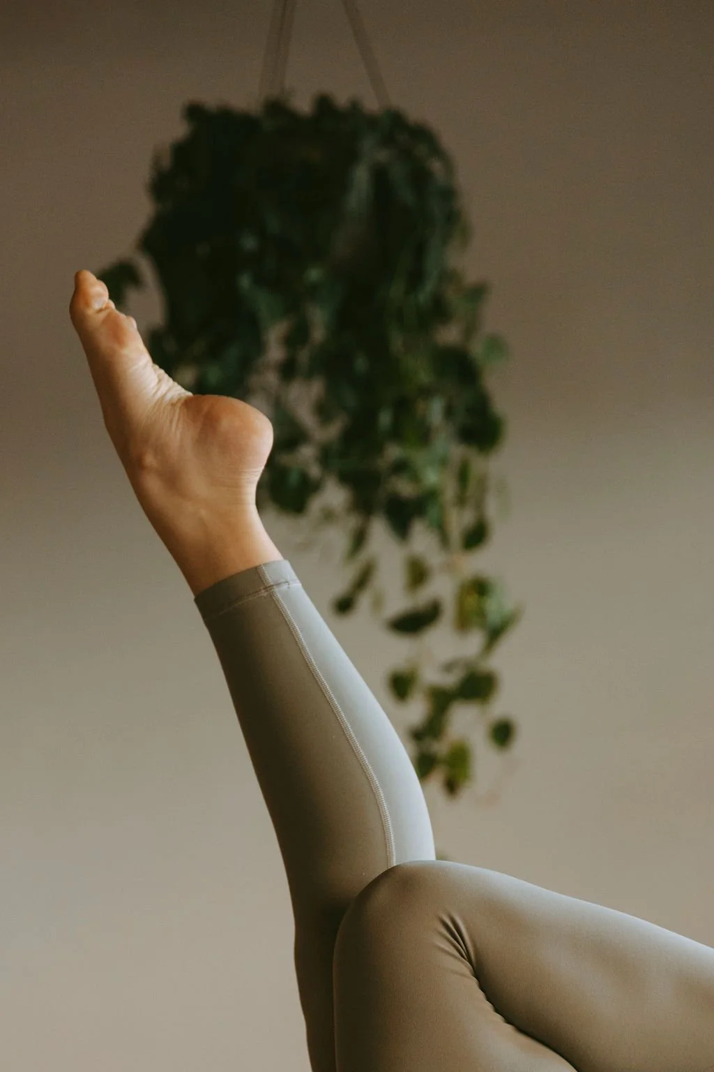 Master Class: transitions avancées avec Eve