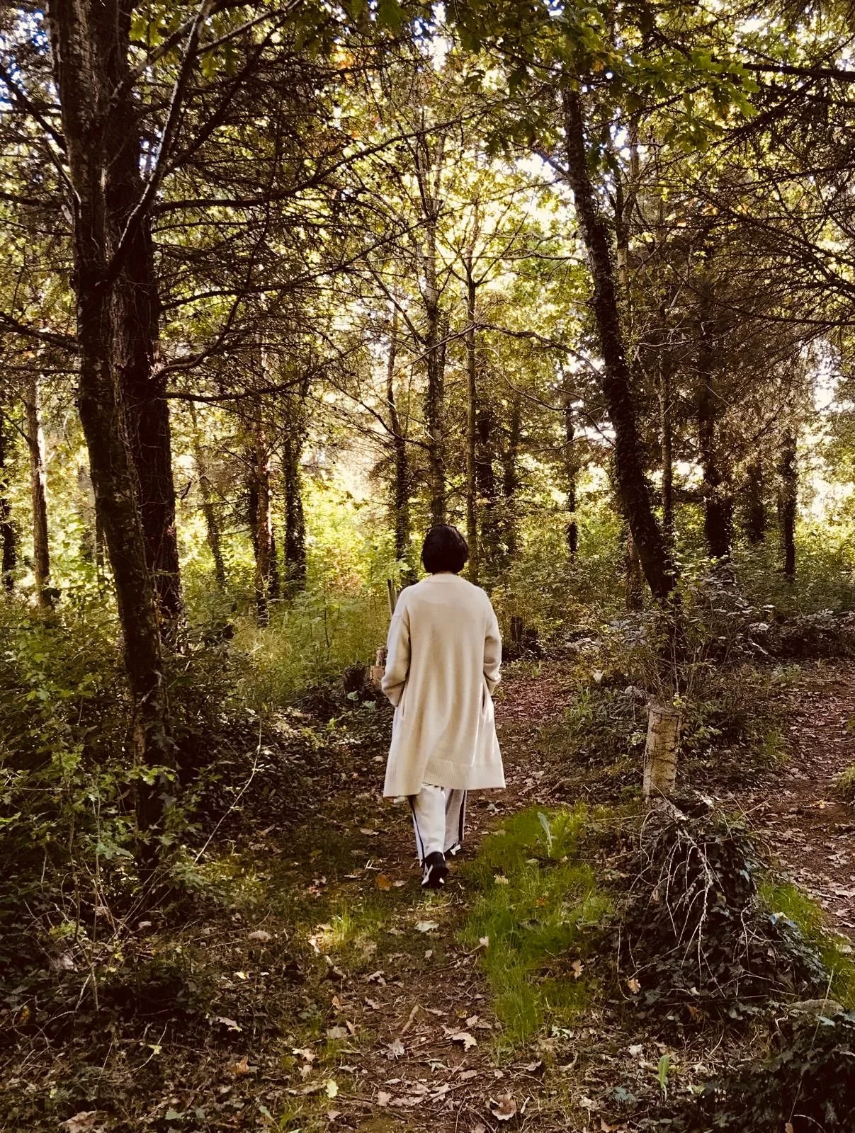 Rebirthing Yourself: Healing the Ancestral Story