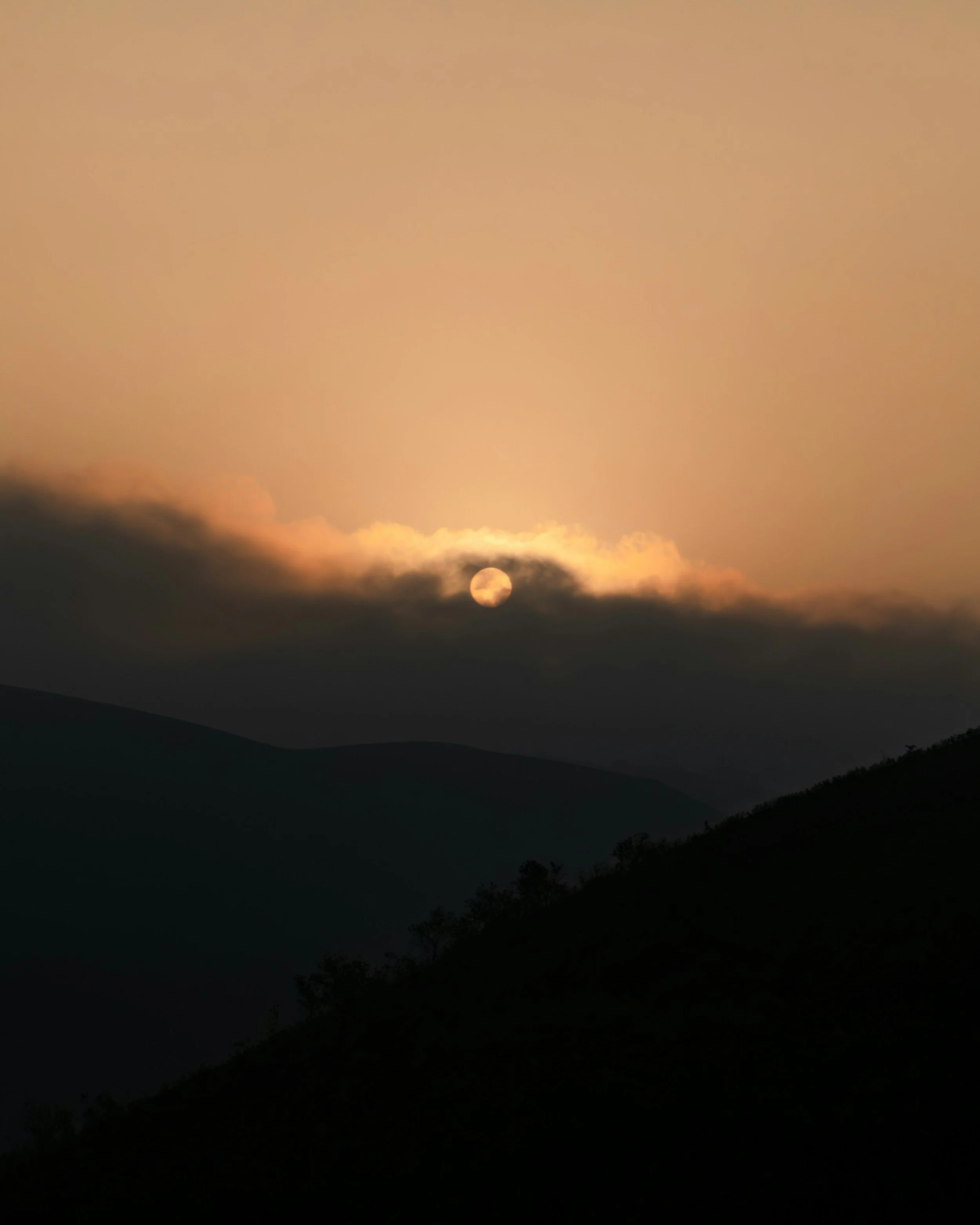 Wintering: A Journey Home to Self