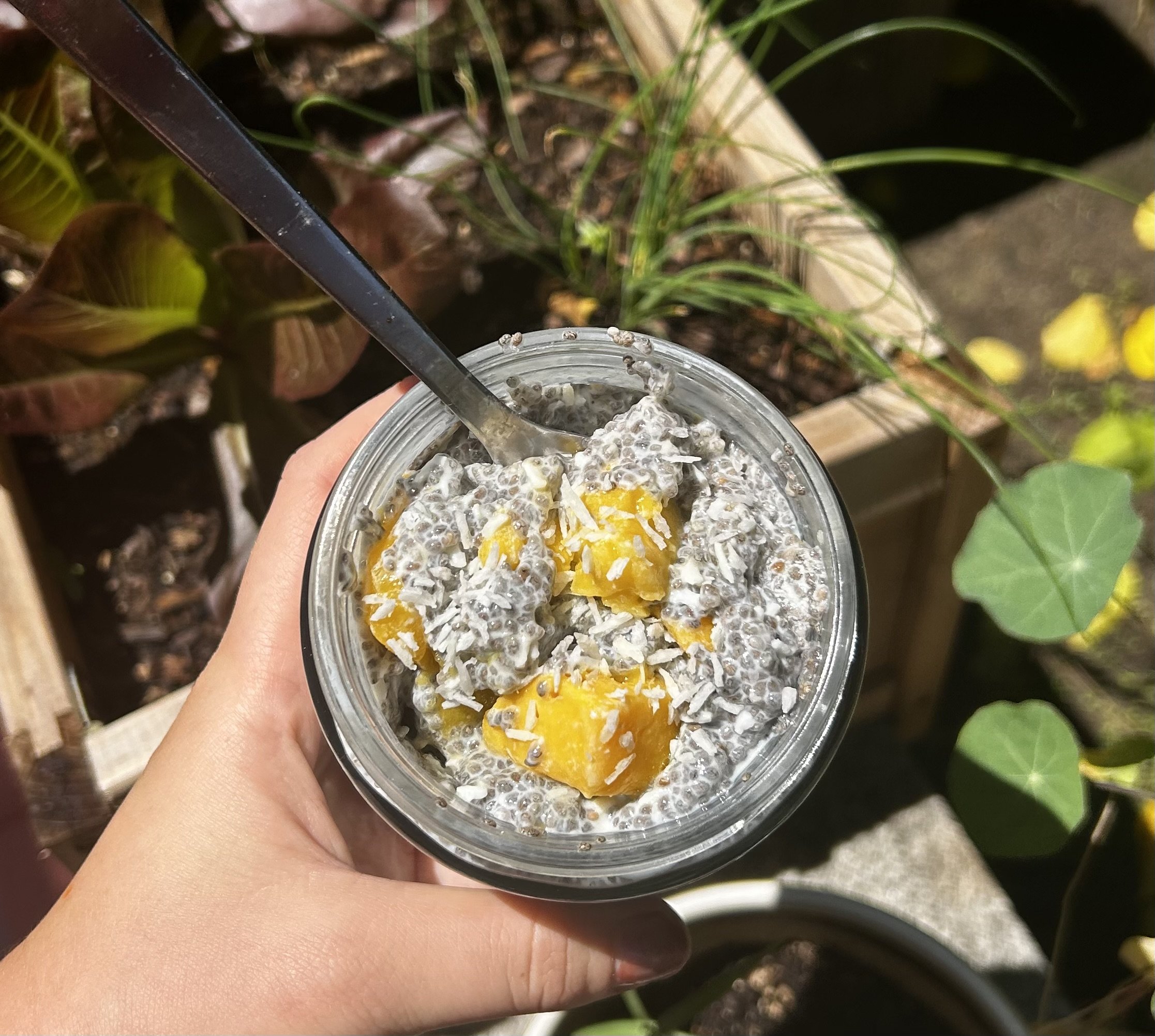 Mango Coconut Chia Pudding