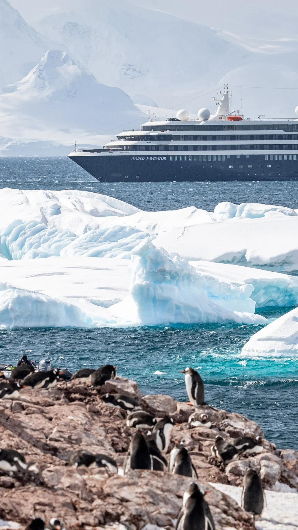 Puget Sound with a cruise ship named 'World Navigator' near large icebergs and penguins on a rocky shore in Antarctica.