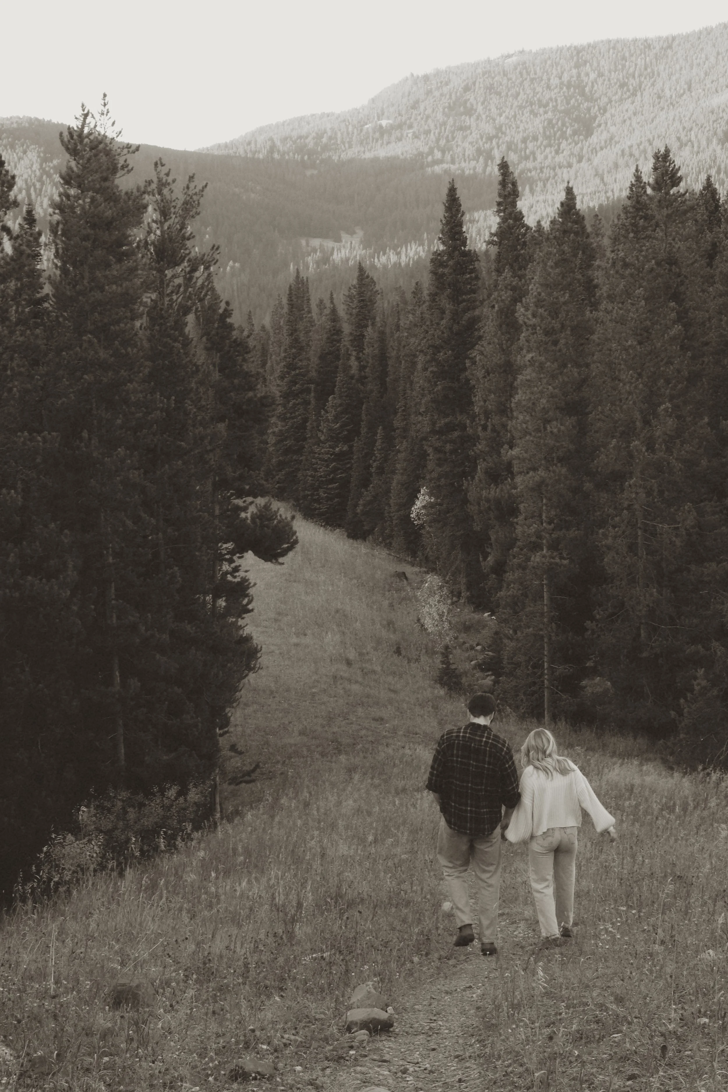 A couple walking hand in hand down a narrow dirt trail through a forested mountain landscape.