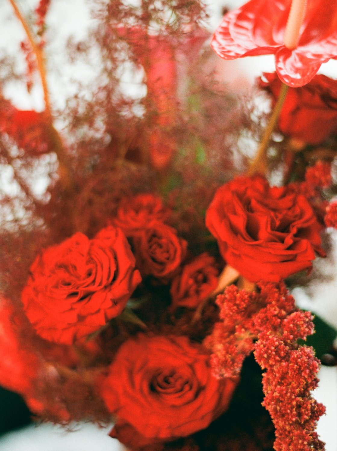 Close-up of a red floral arrangement with roses, red anthuriums and smoke bush.