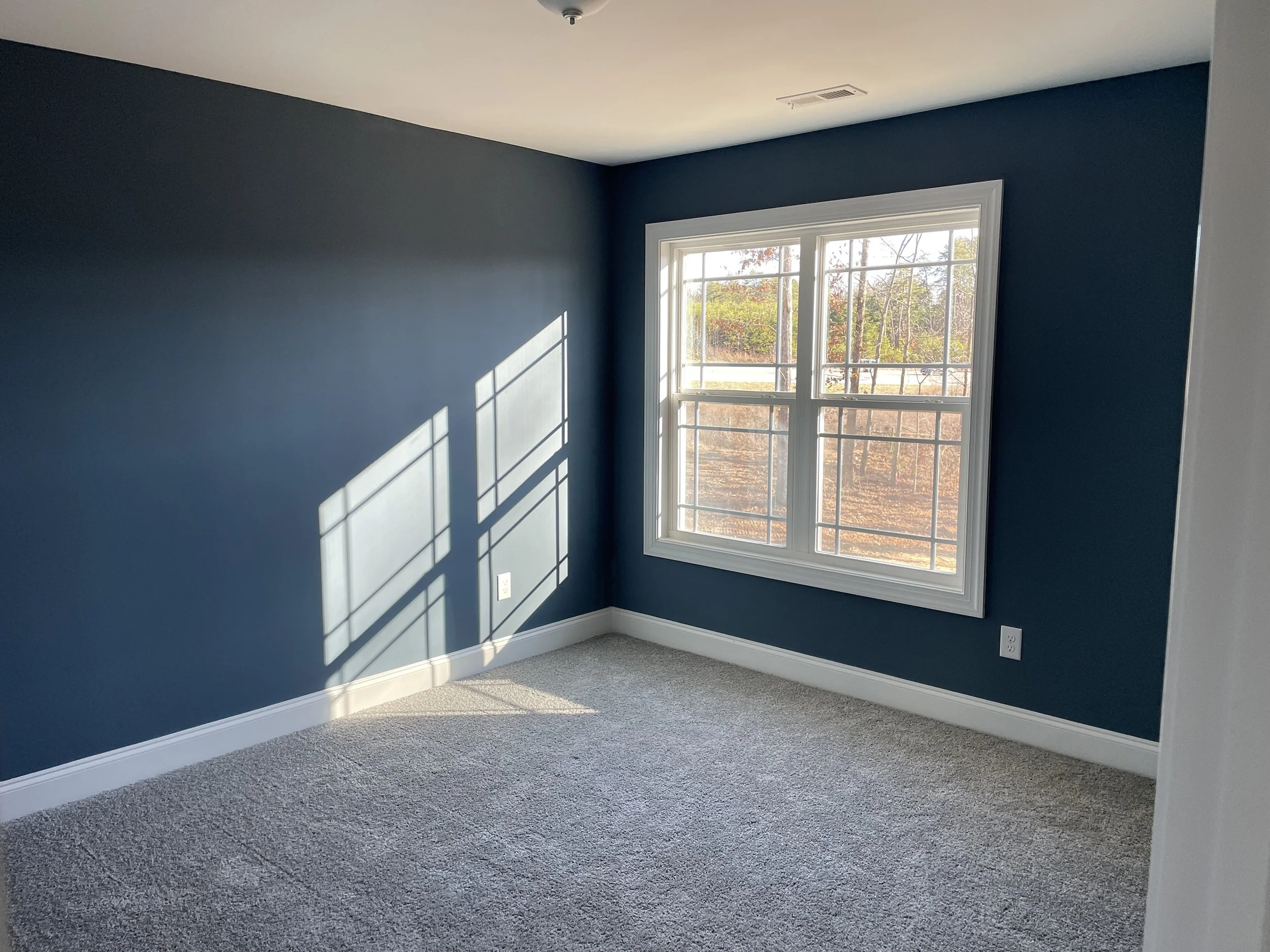 Empty room with blue walls, a large window, gray carpet, and baseboards, with sunlight casting shadows through the window.