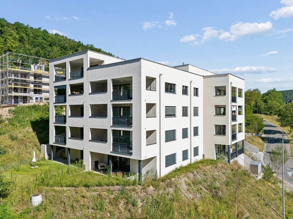Talberg-Park Schaffhausen in seiner Umgebung