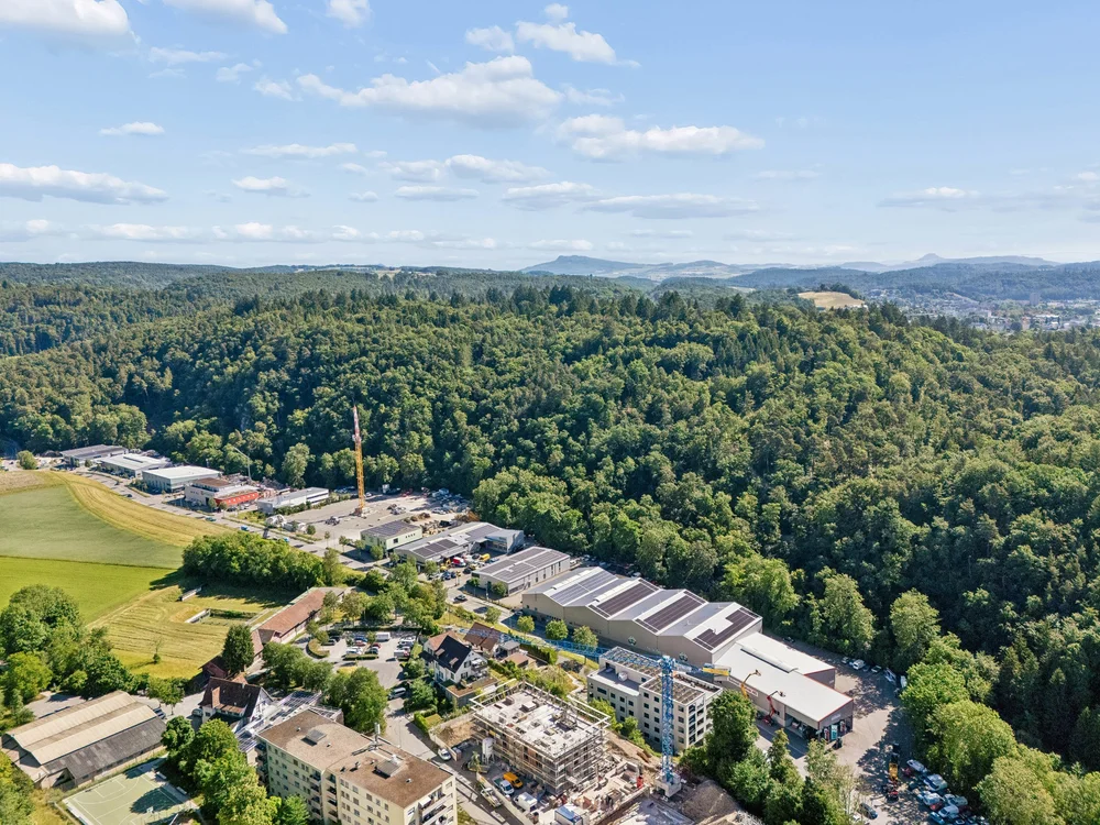 Grüne Umgebung rund um den Talberg-Park Schaffhausen