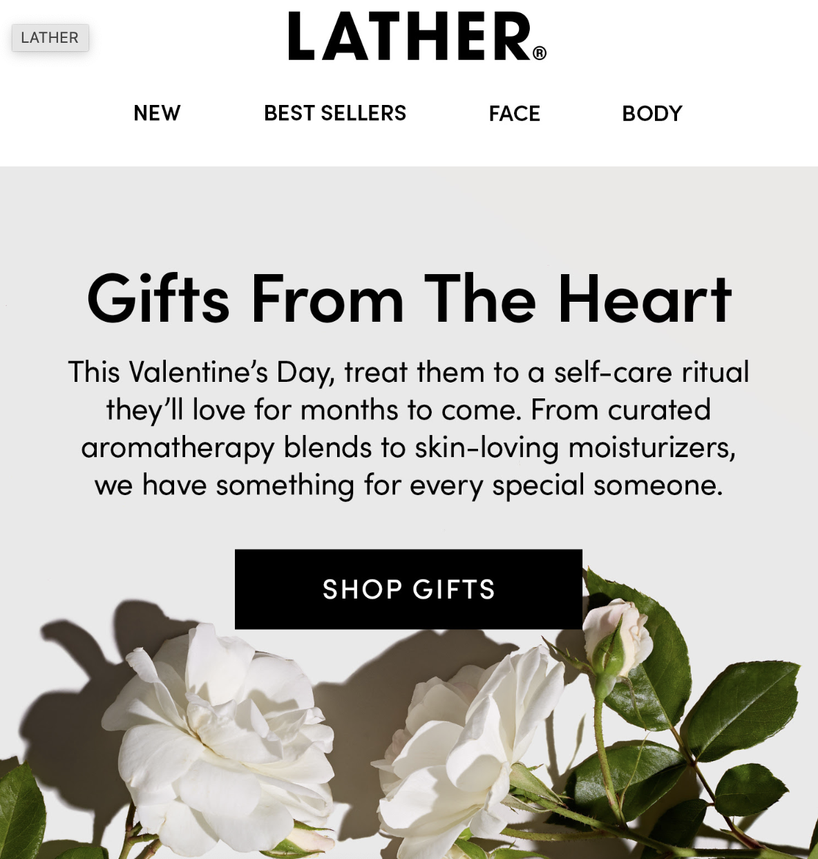 Screenshot 2024-02-26 at 4.36.47 PM.png