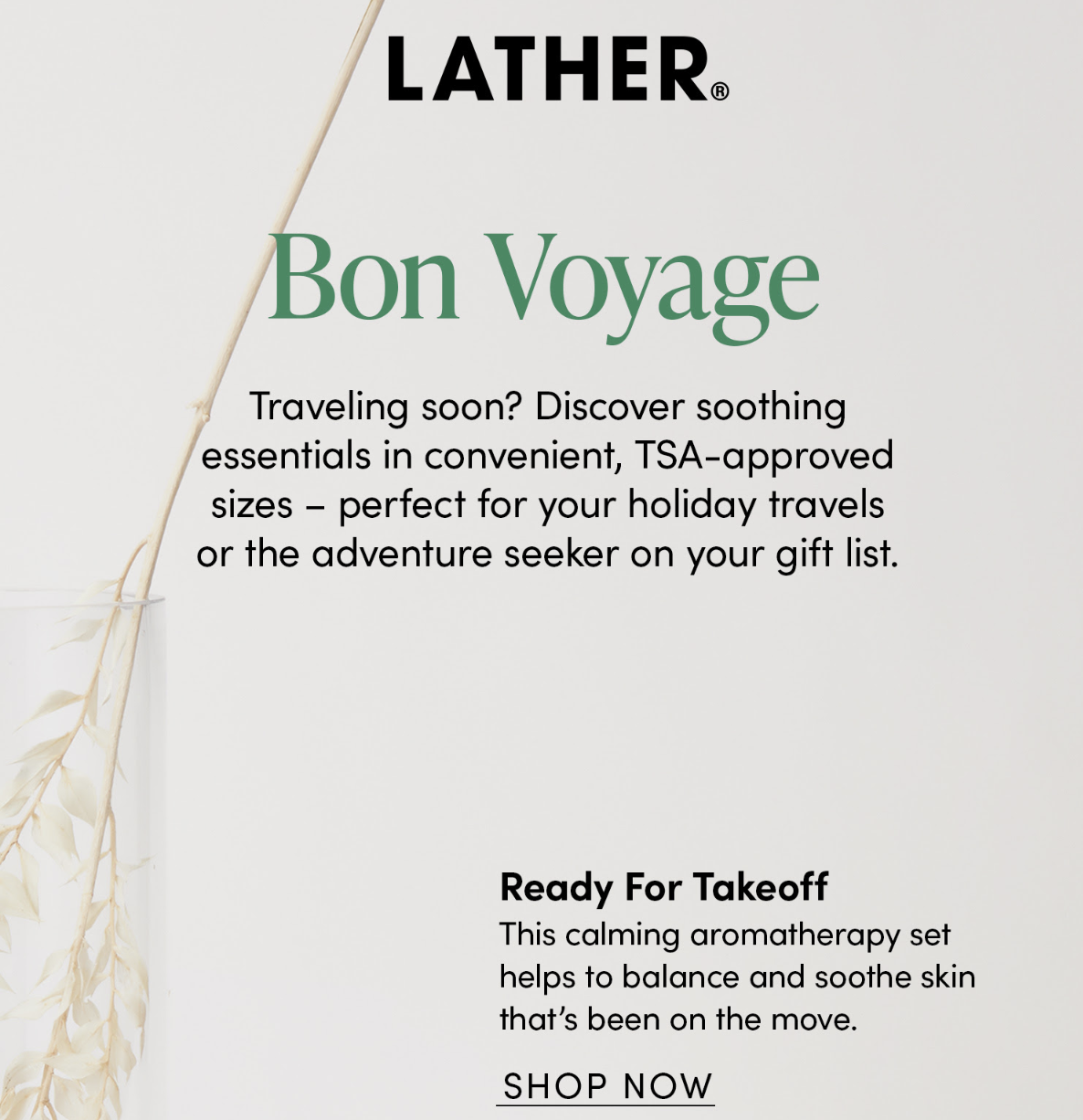 Screenshot 2024-02-26 at 4.18.02 PM.png