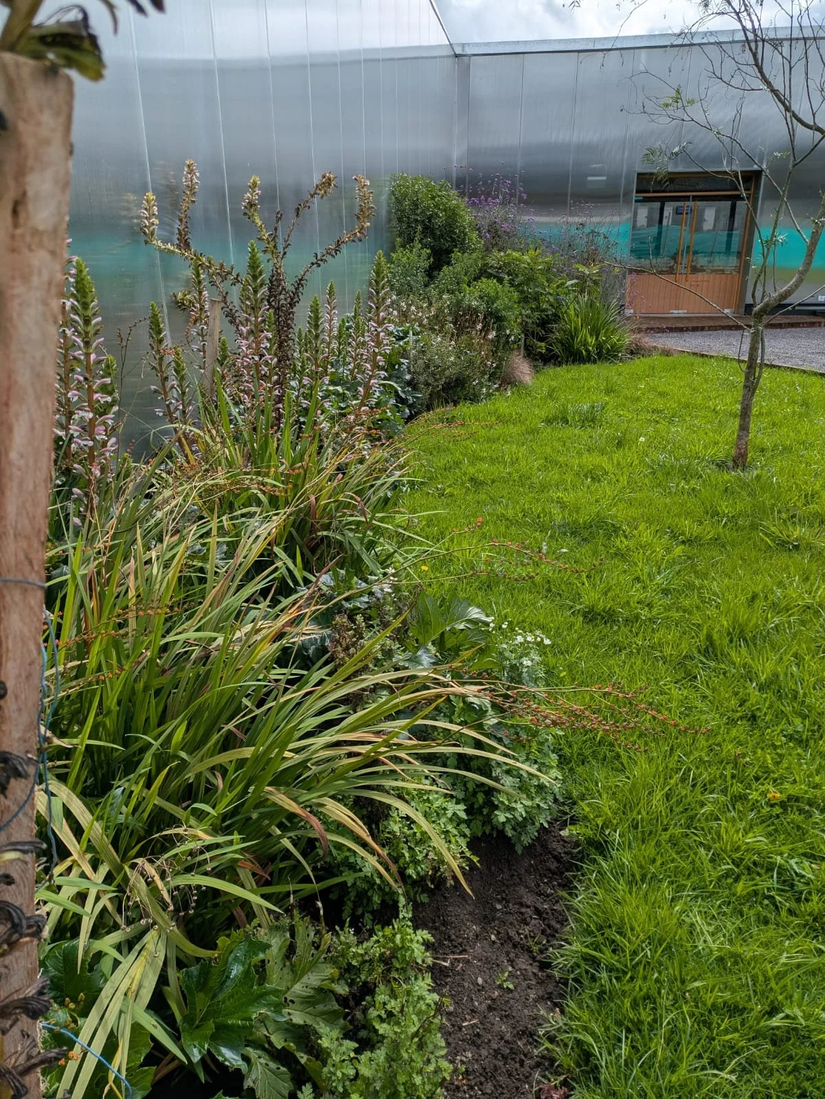 PHOTO-2025-04-11-06-06-05 5.jpg