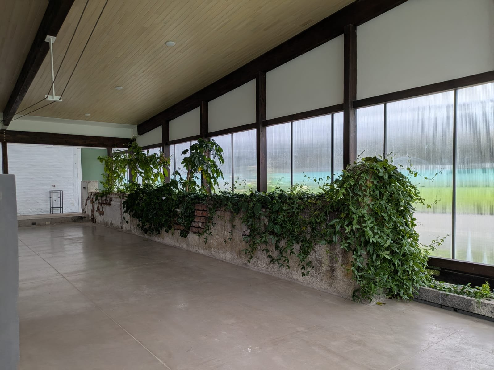 PHOTO-2025-04-11-06-06-06 3.jpg