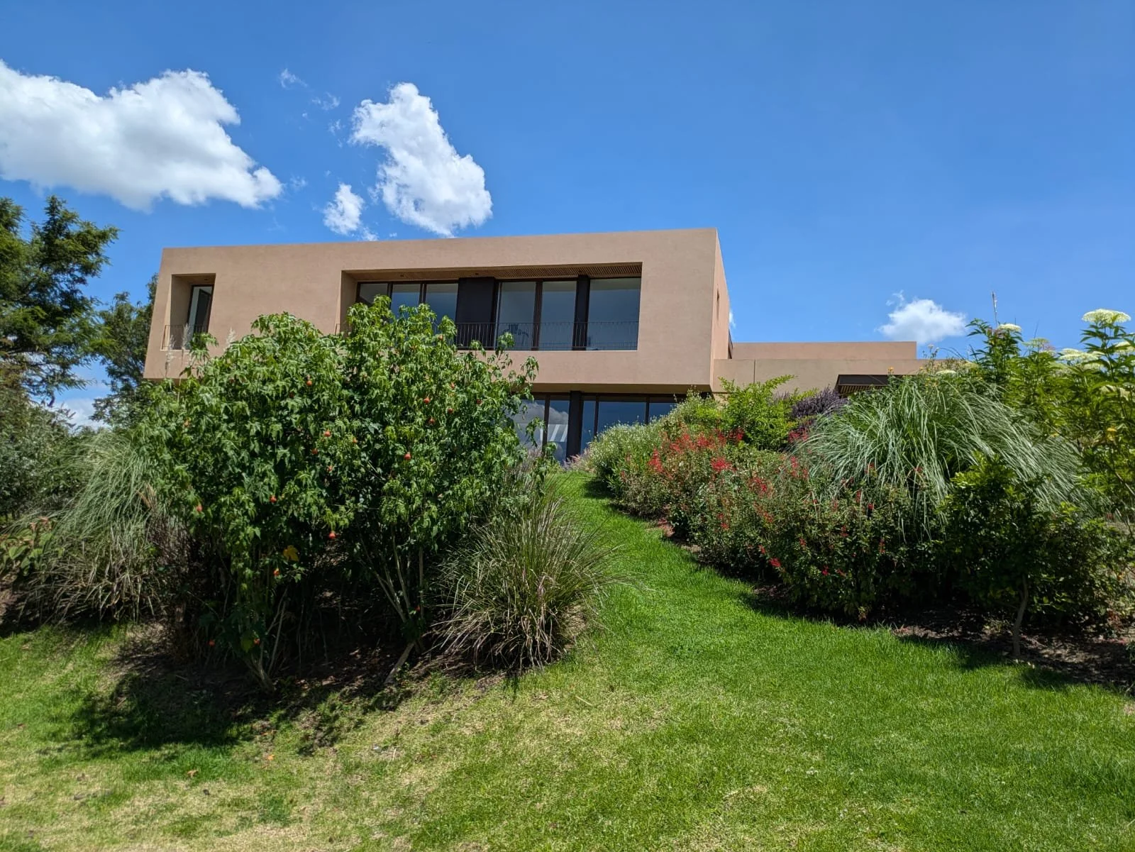 WhatsApp Image 2026-01-25 at 17.03.15.jpeg