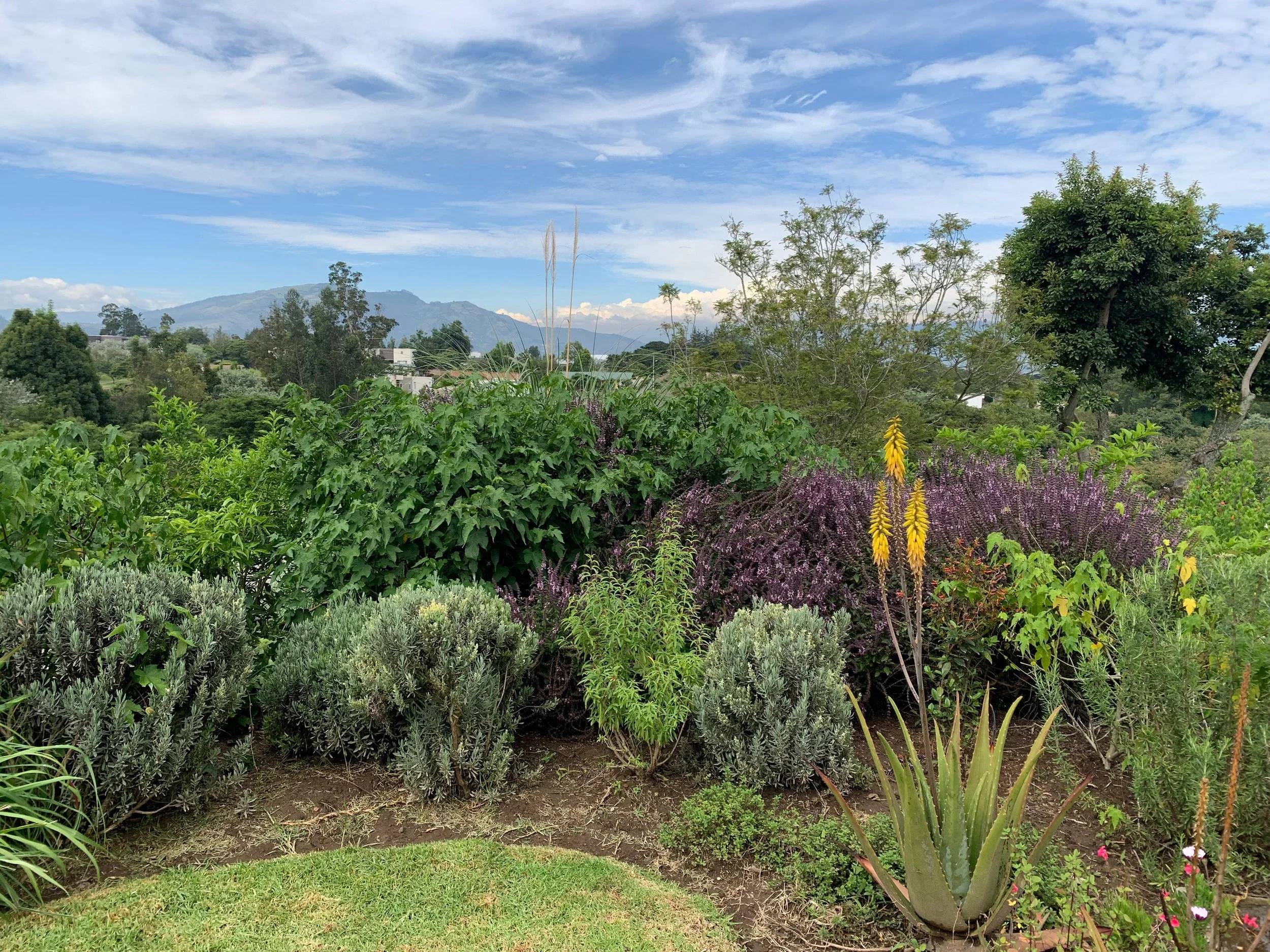 PHOTO-2026-04-10-11-40-04 4.jpg