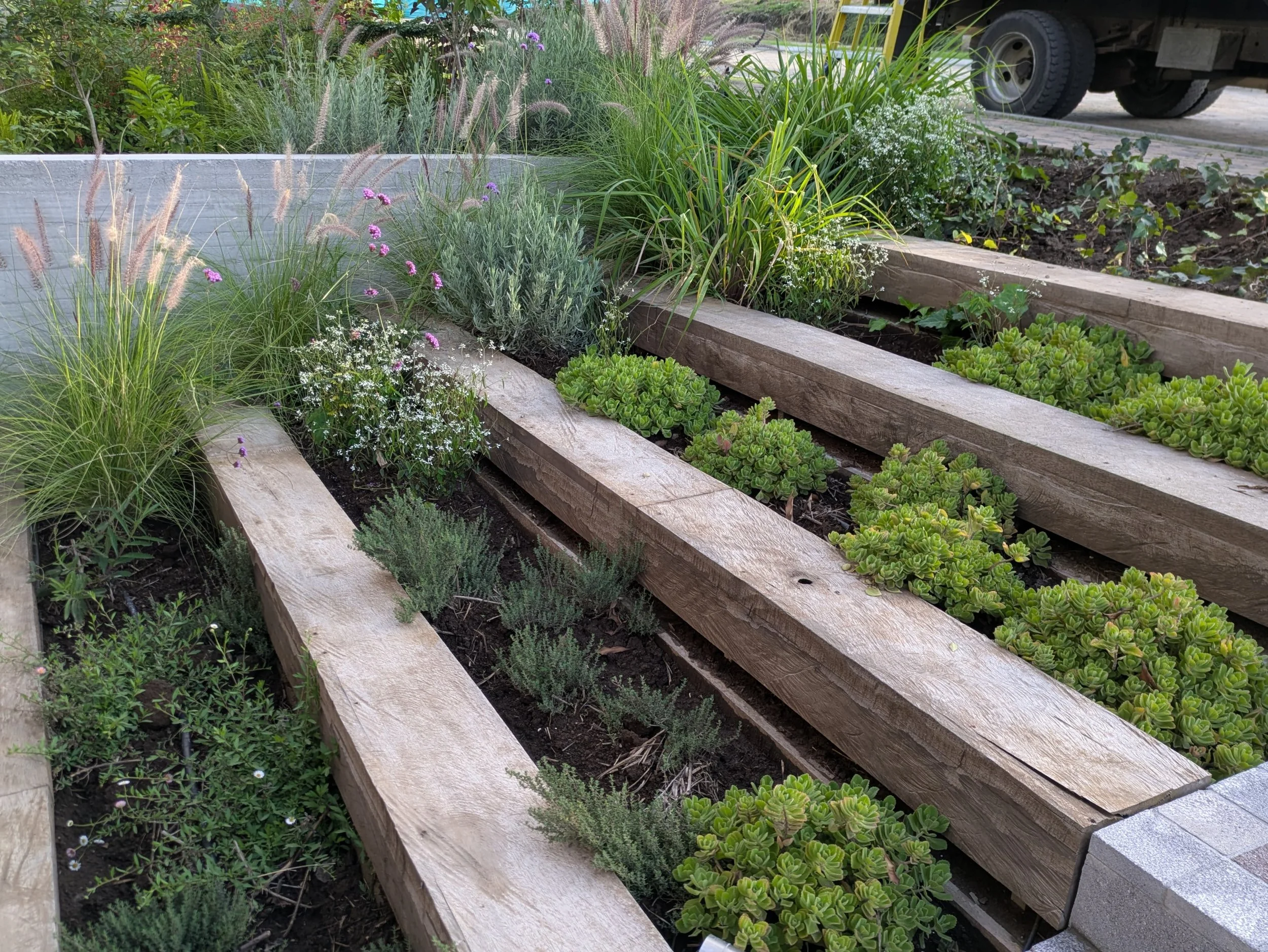 WhatsApp Image 2025-06-24 at 23.11.53 (2).jpeg