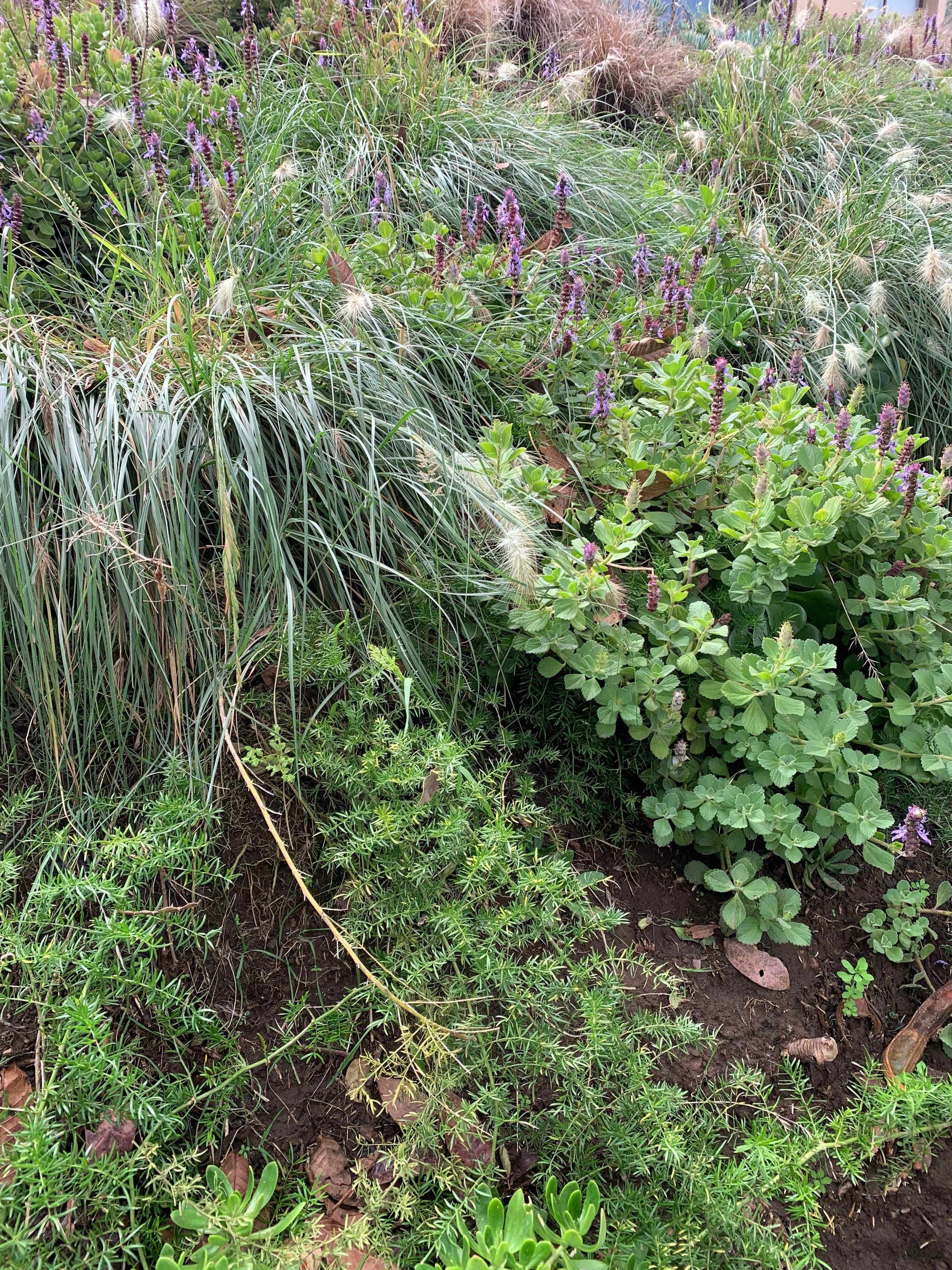 PHOTO-2026-04-10-11-40-03 2.jpg