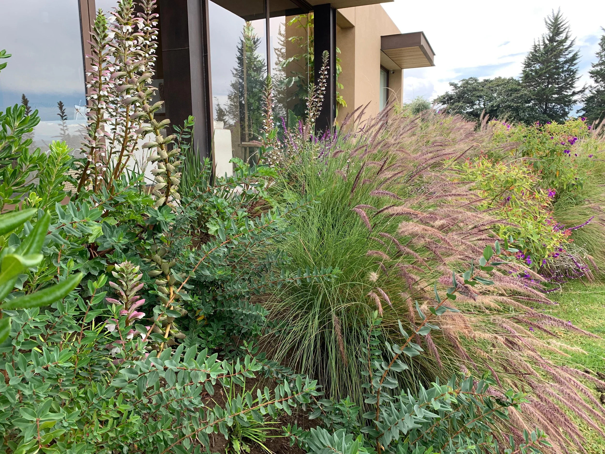 PHOTO-2026-04-10-11-39-55 2.jpg