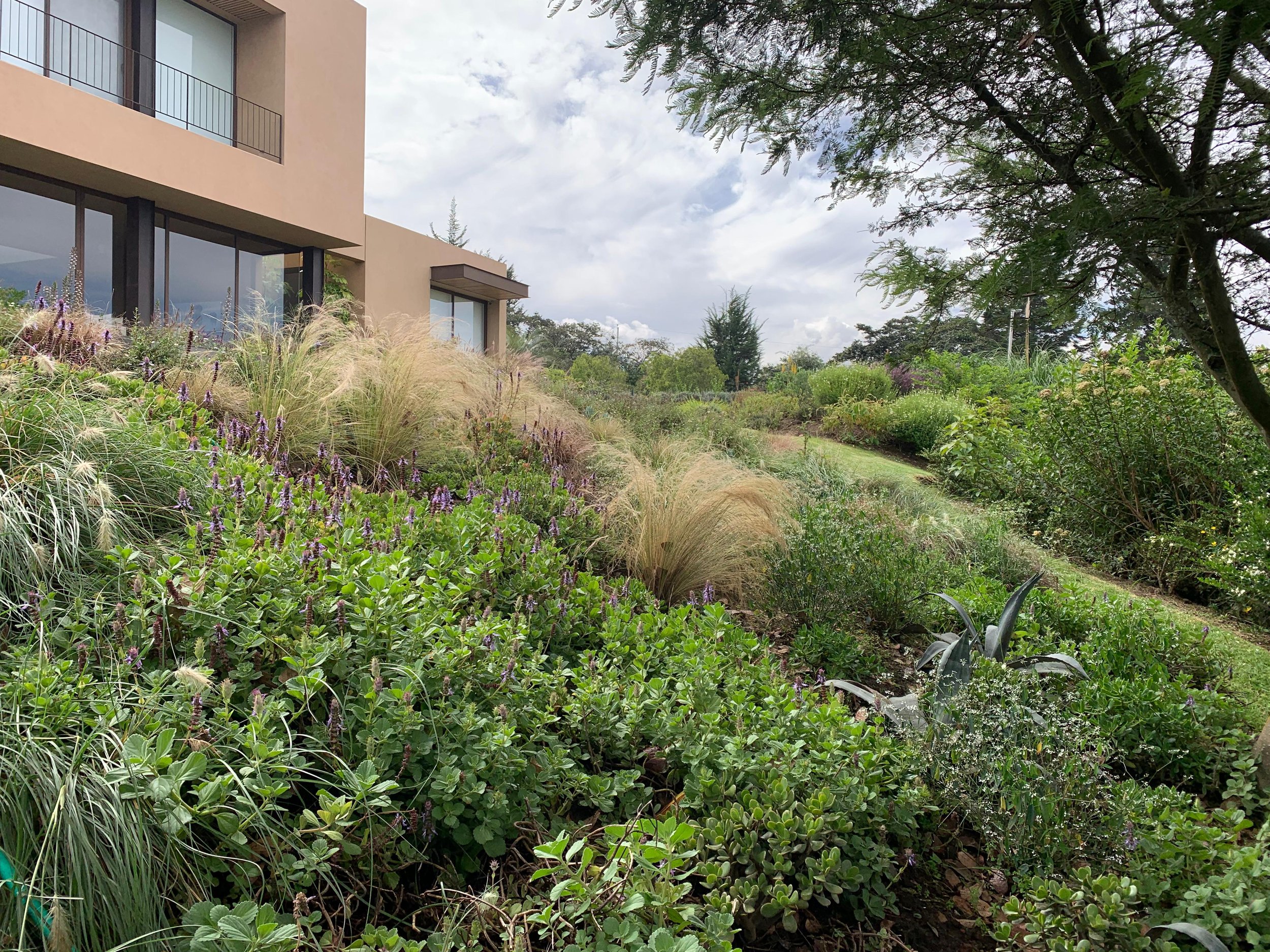 PHOTO-2026-04-10-11-40-03 3.jpg