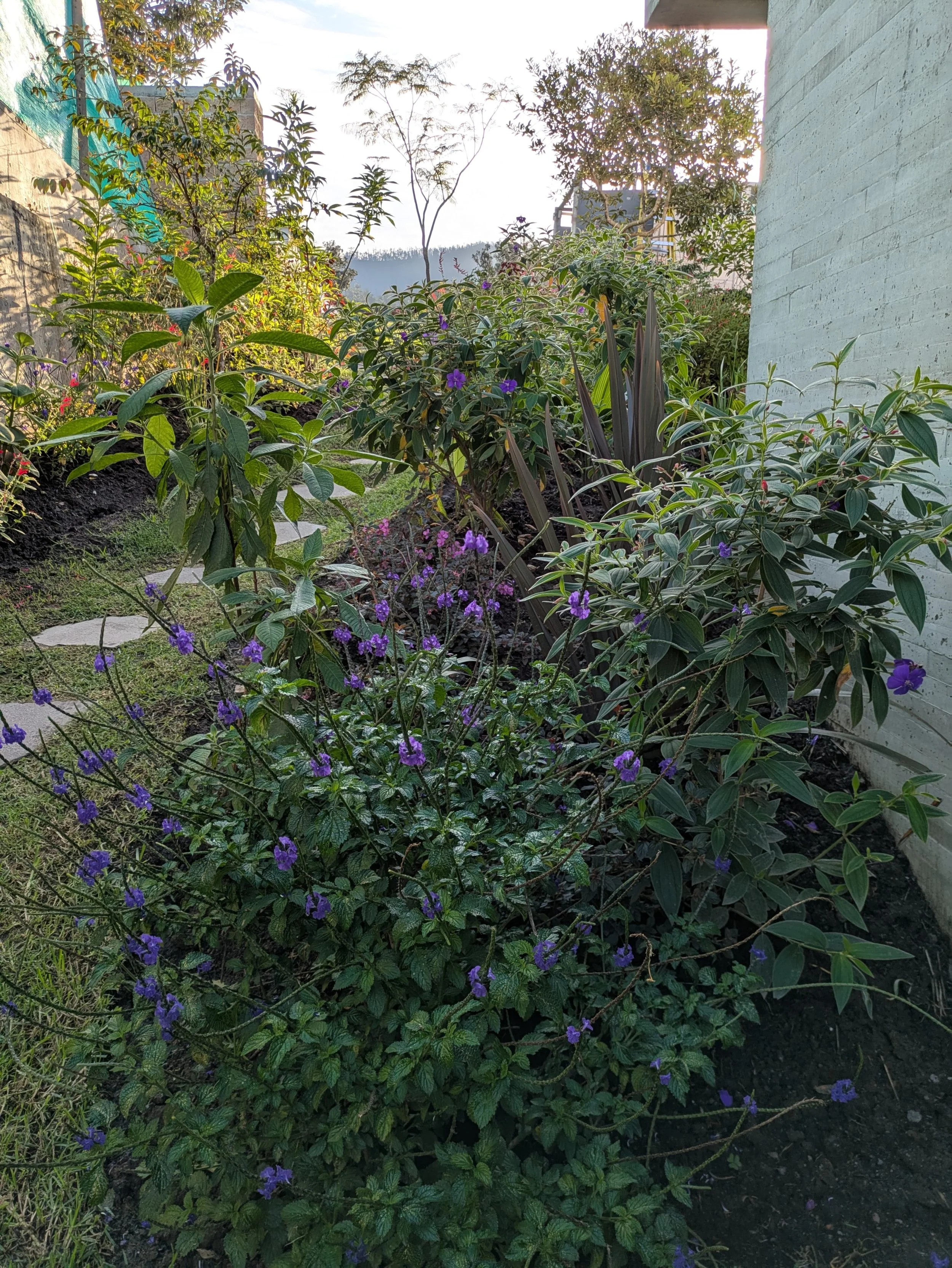 WhatsApp Image 2025-06-24 at 23.11.51 (1).jpeg