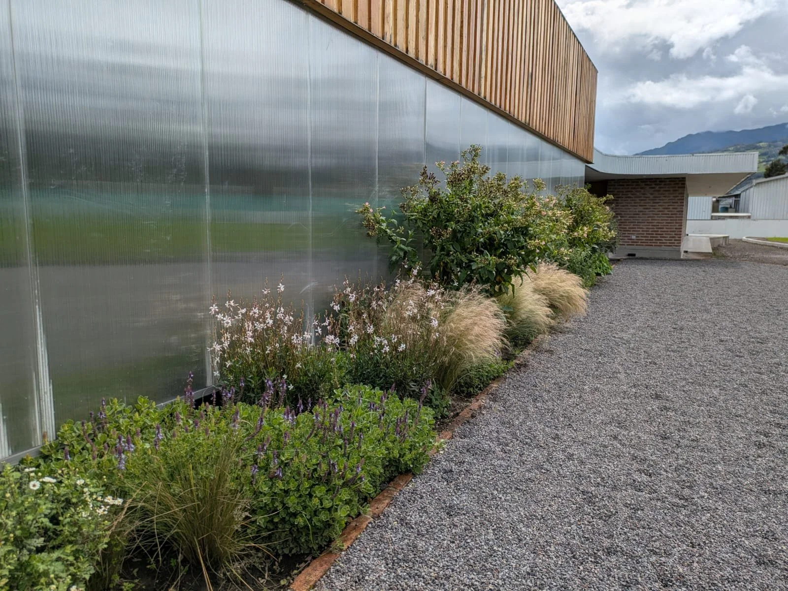 PHOTO-2025-04-11-06-06-02 2.jpg