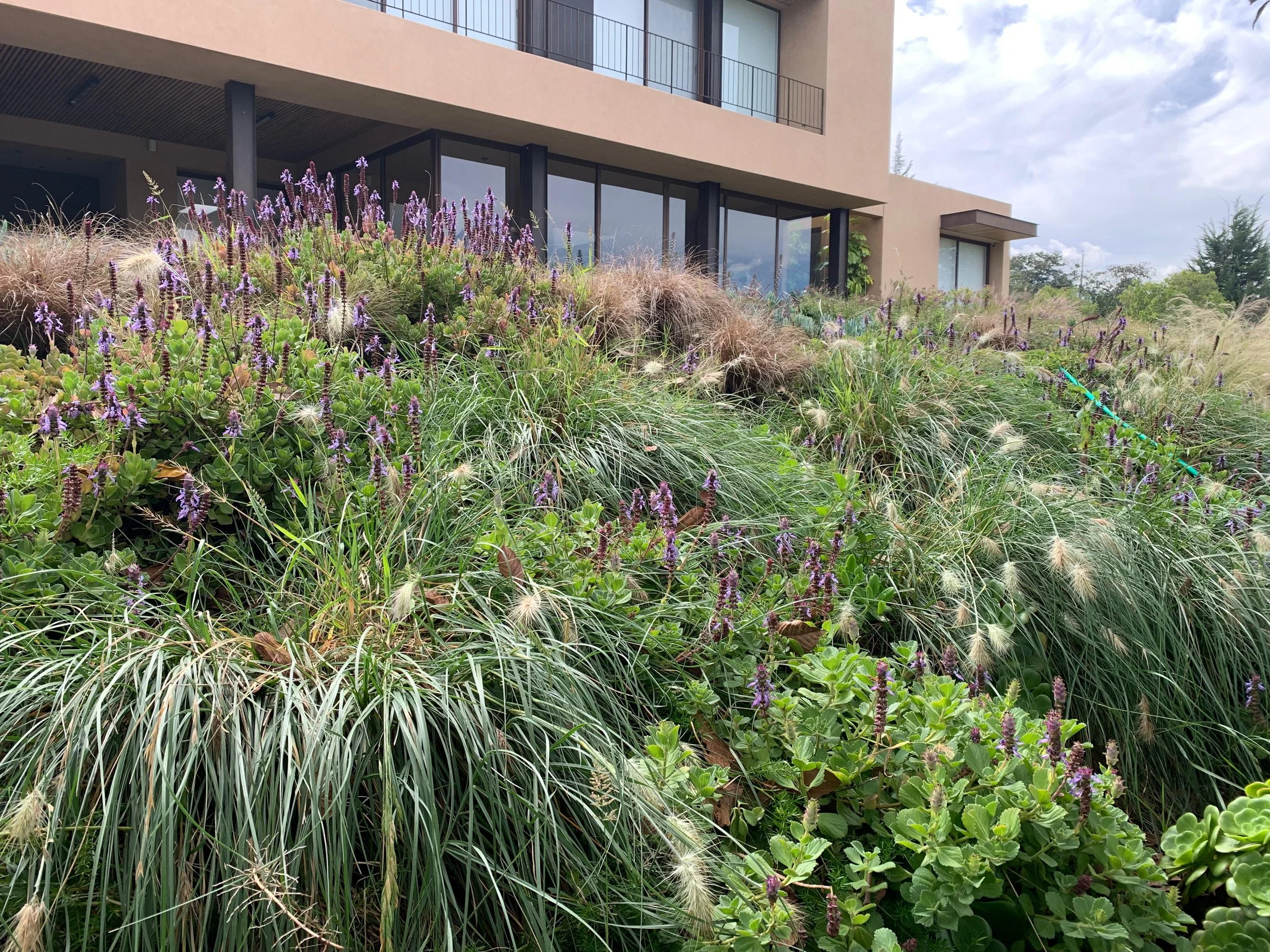 PHOTO-2026-04-10-11-40-04 2.jpg