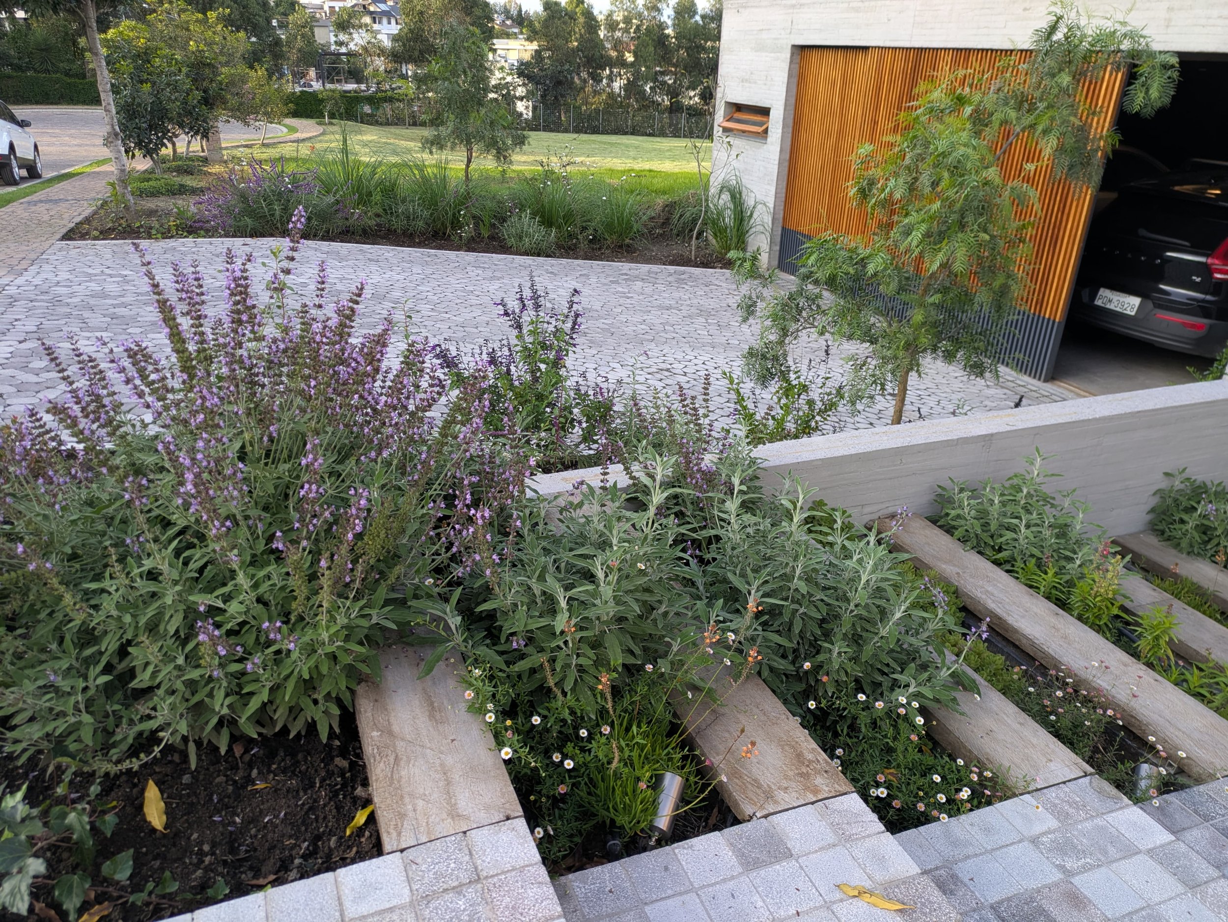 WhatsApp Image 2025-06-24 at 23.11.52 (4).jpeg