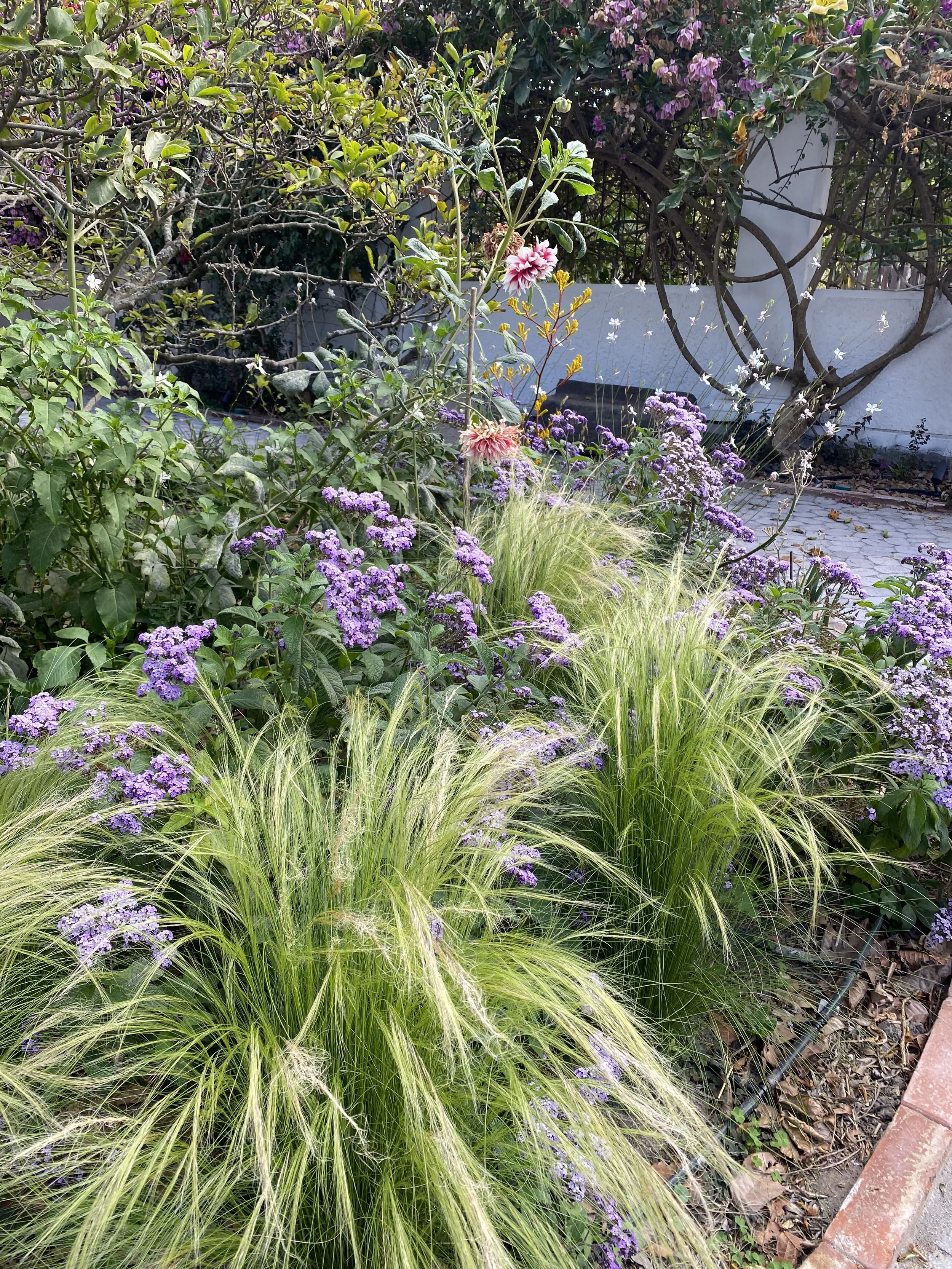 IMG_5977.jpeg