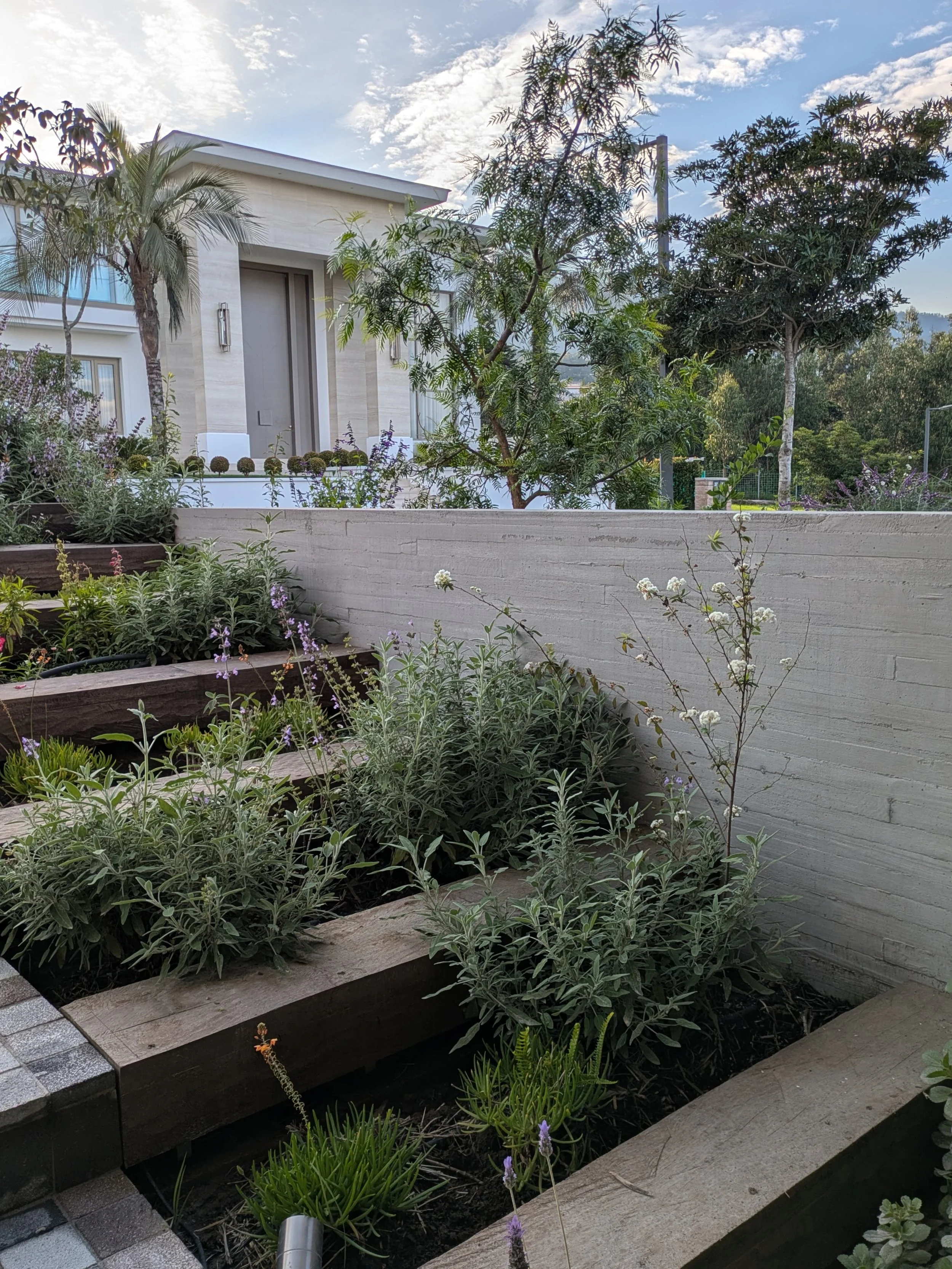 WhatsApp Image 2025-06-24 at 23.11.54 (1).jpeg