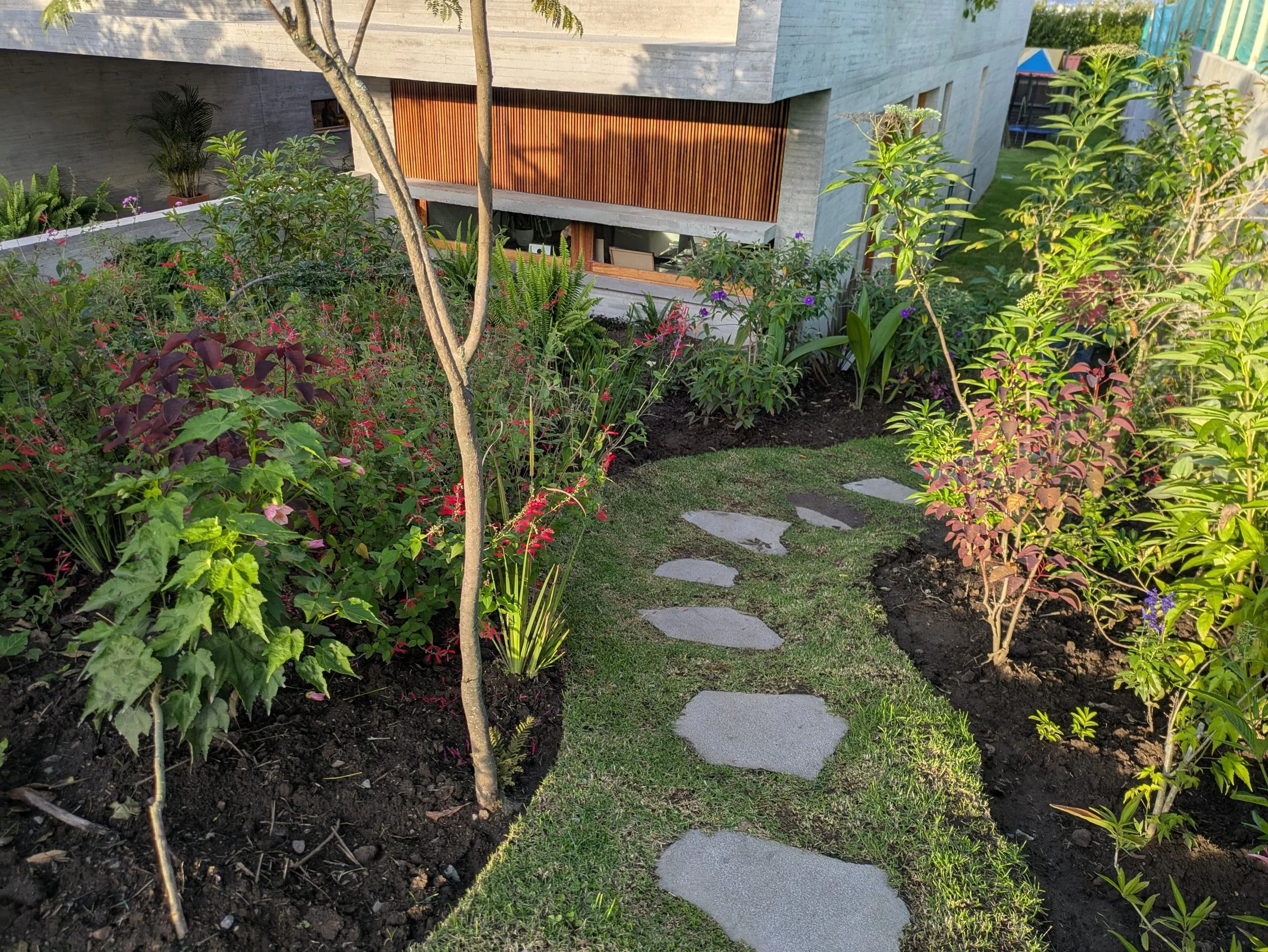 WhatsApp Image 2025-06-24 at 23.11.52.jpeg