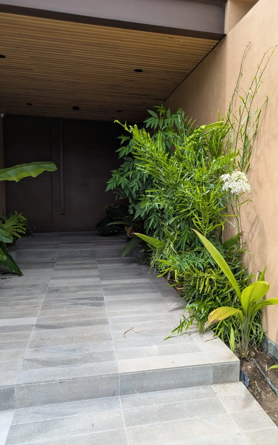 WhatsApp Image 2026-02-25 at 05.55.51 (1).jpeg