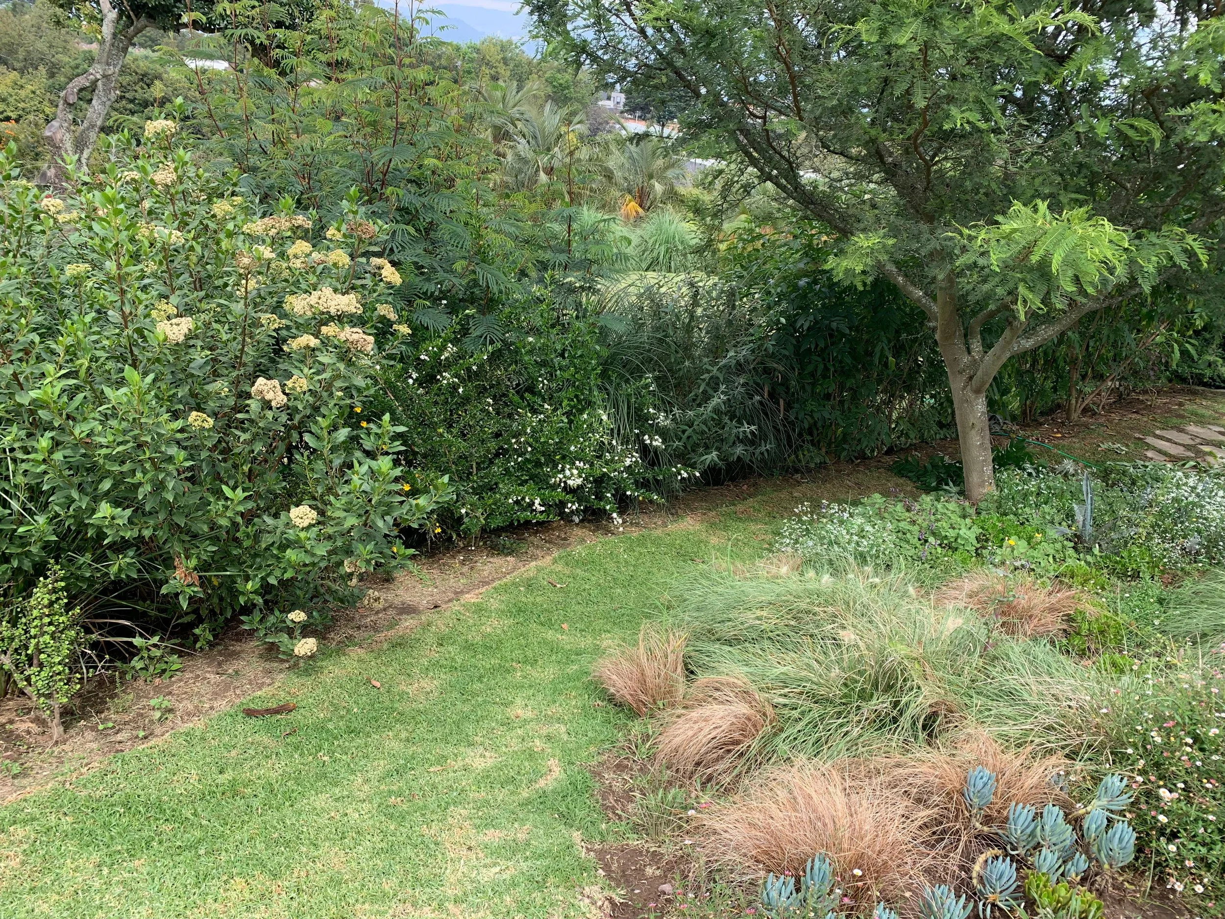 PHOTO-2026-04-10-11-40-02 2.jpg