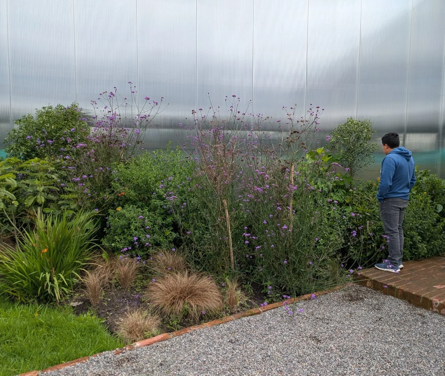 PHOTO-2025-04-11-06-06-04 3.jpg