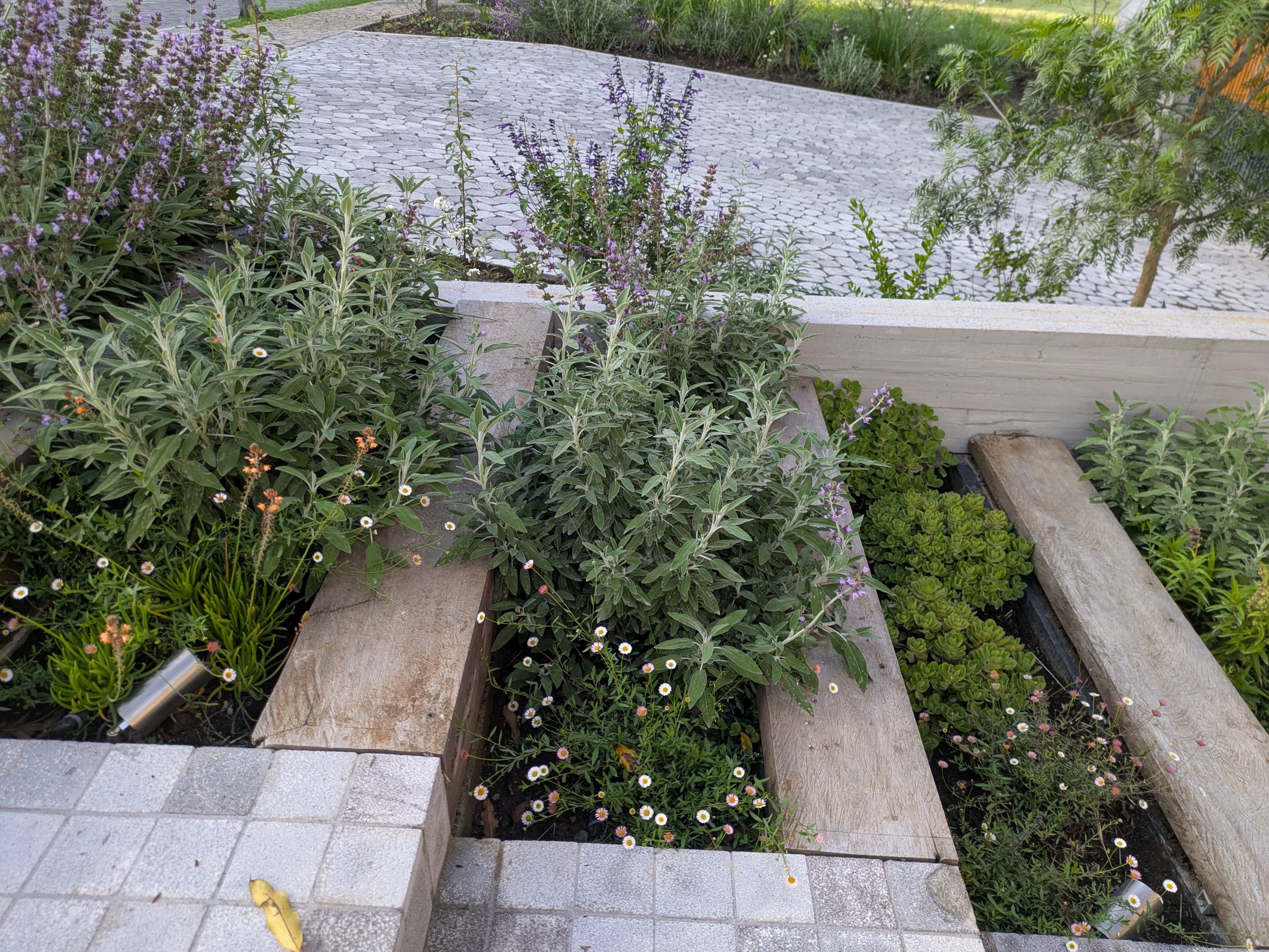 WhatsApp Image 2025-06-24 at 23.11.34.jpeg