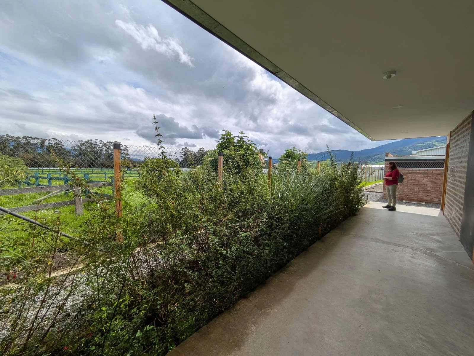 PHOTO-2025-04-11-06-06-02 3.jpg