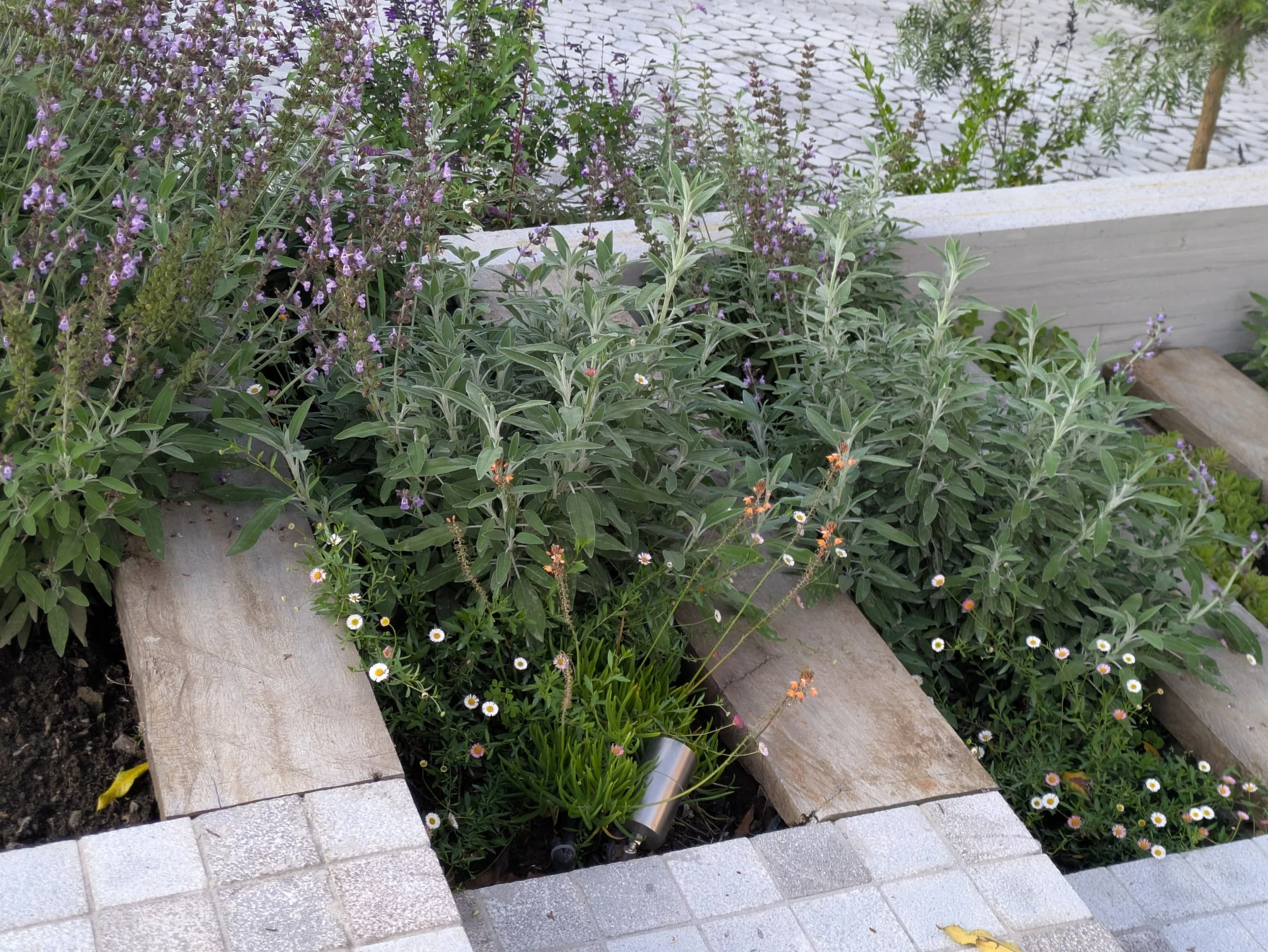 WhatsApp Image 2025-06-24 at 23.11.52 (3).jpeg