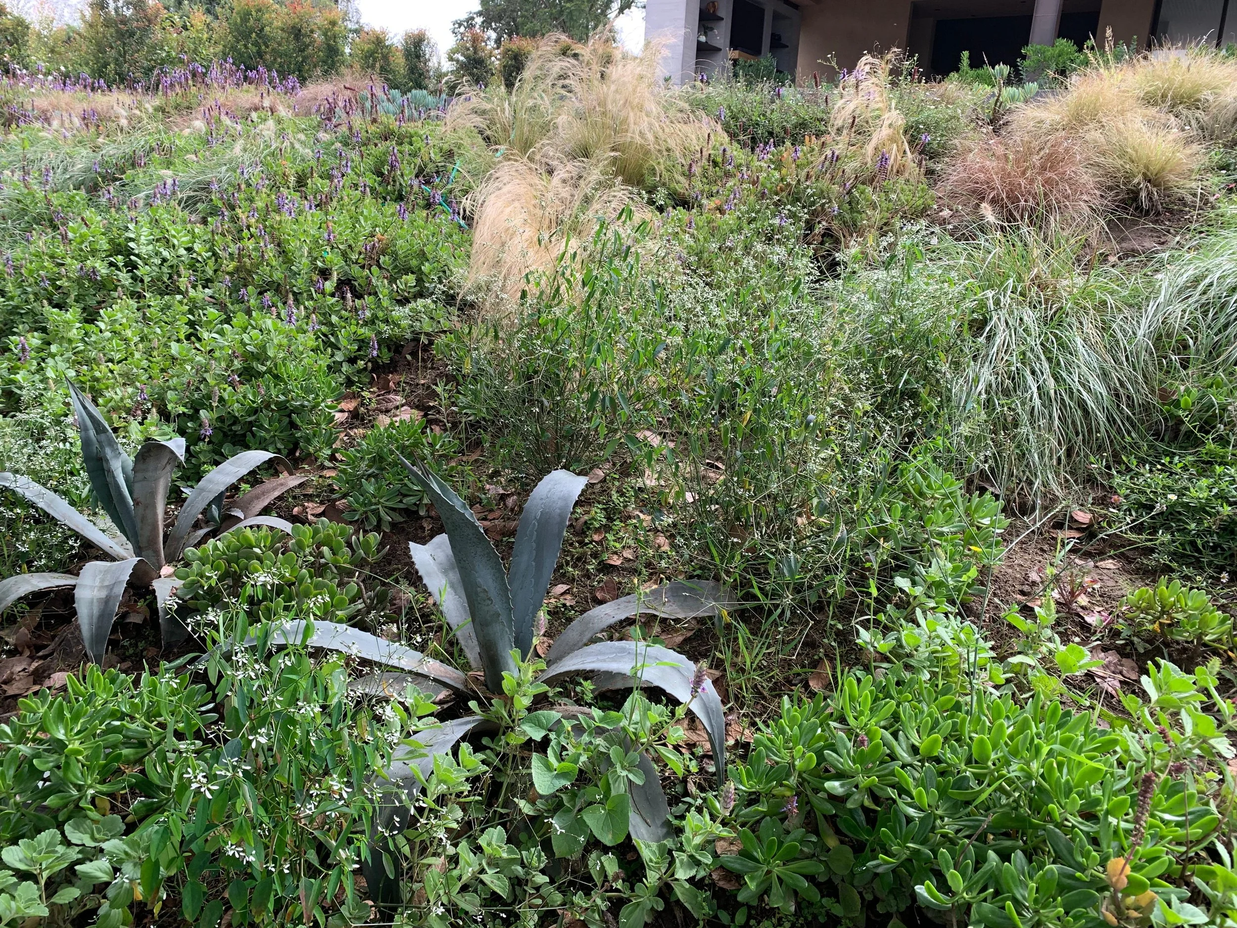 PHOTO-2026-04-10-11-40-03 4.jpg