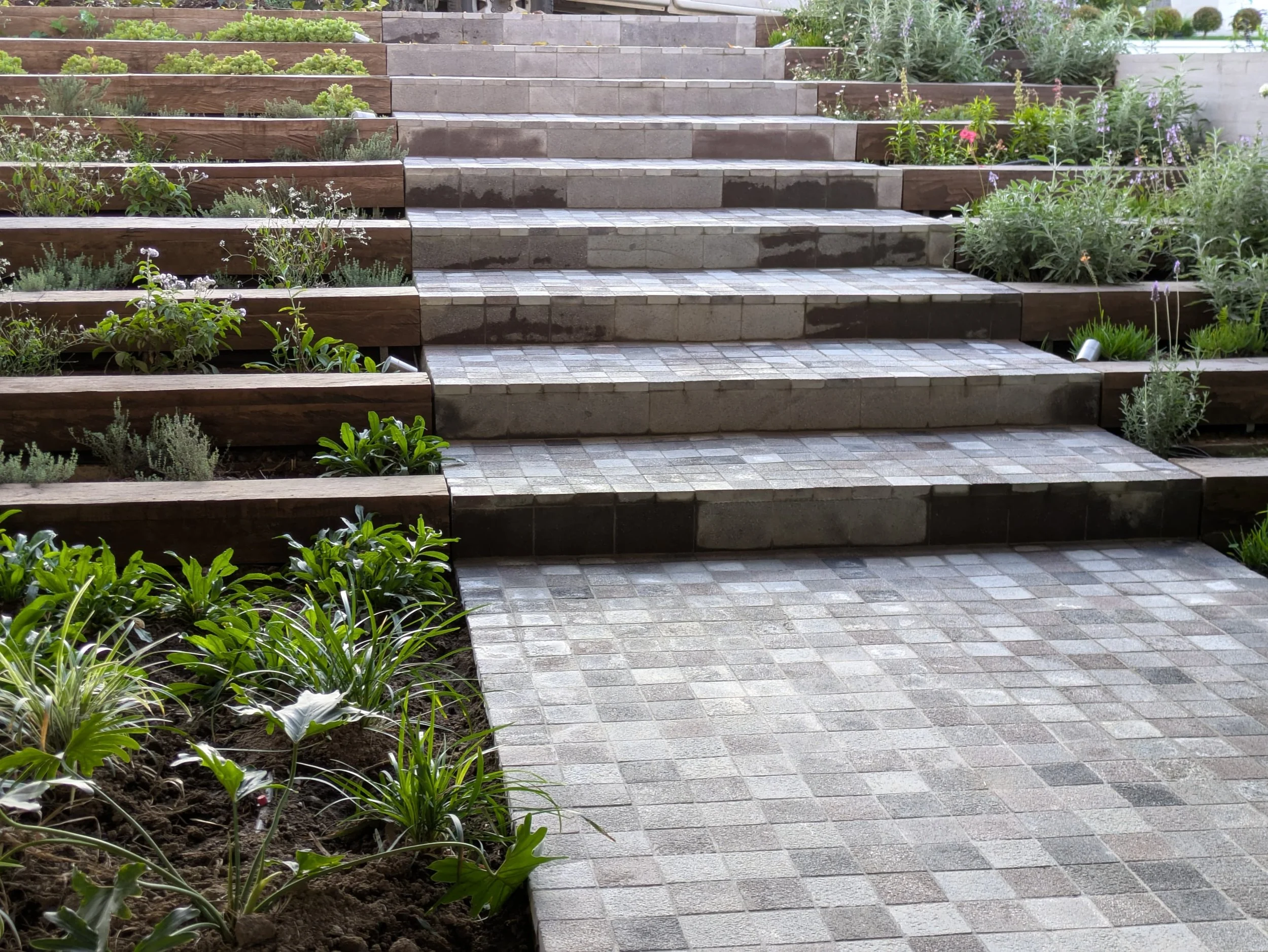 WhatsApp Image 2025-06-24 at 23.11.31.jpeg