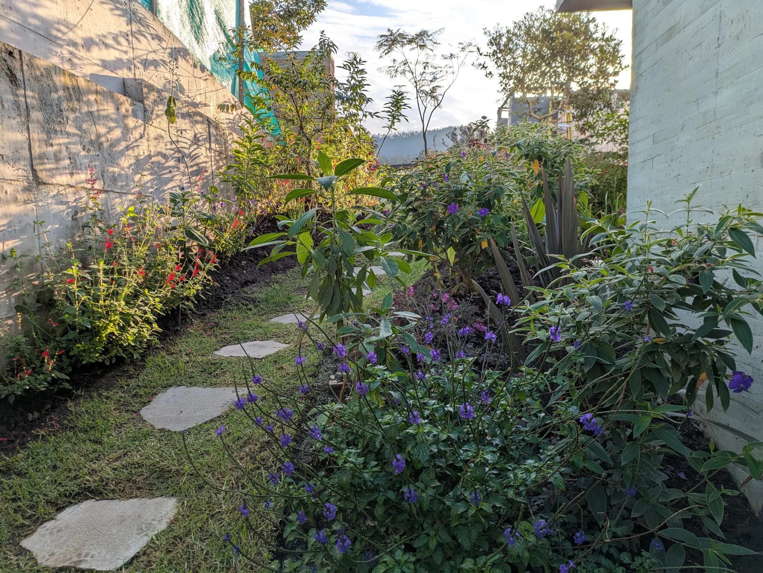 WhatsApp Image 2025-06-24 at 23.11.51.jpeg