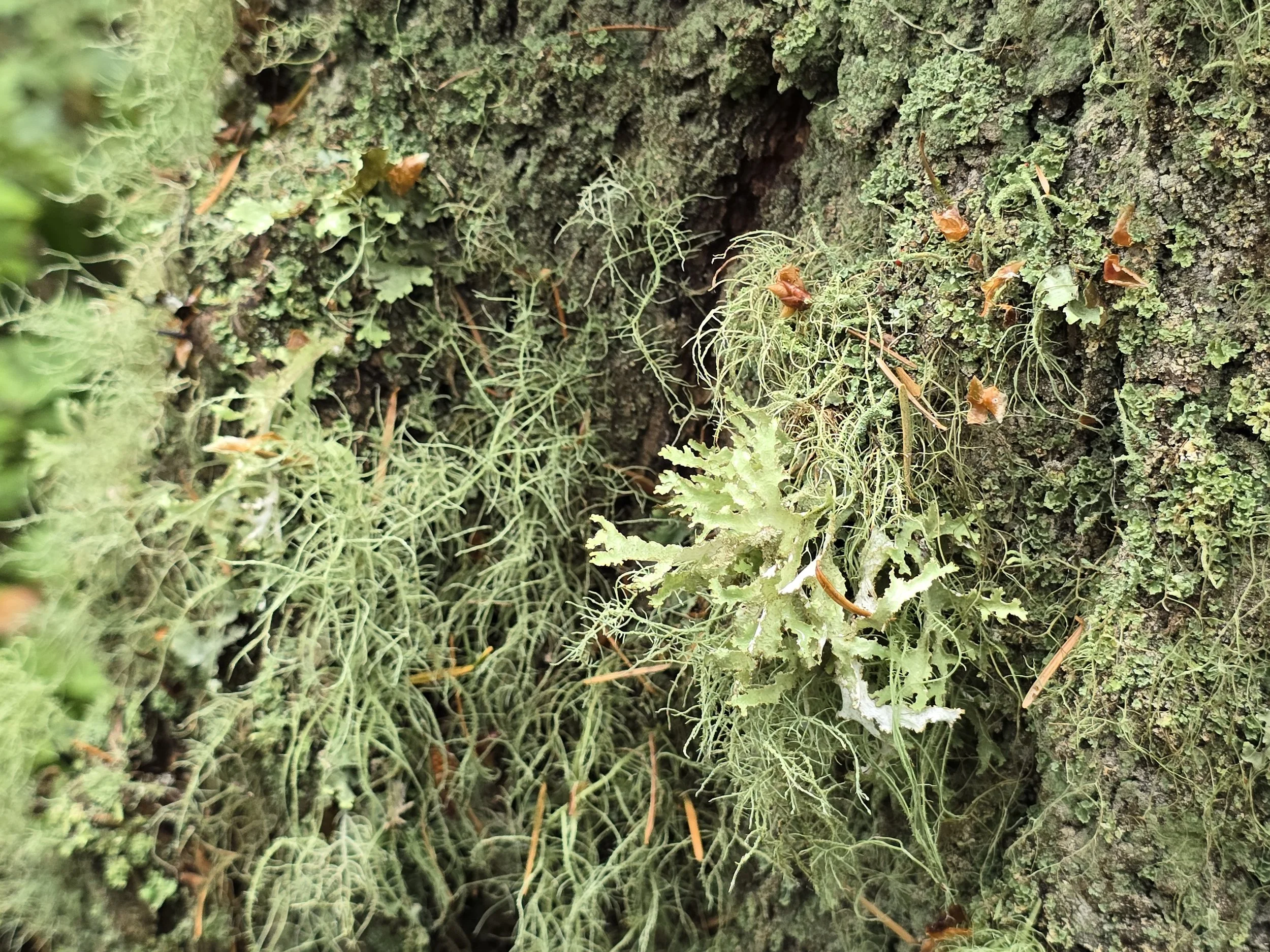 20250709_141059.jpg