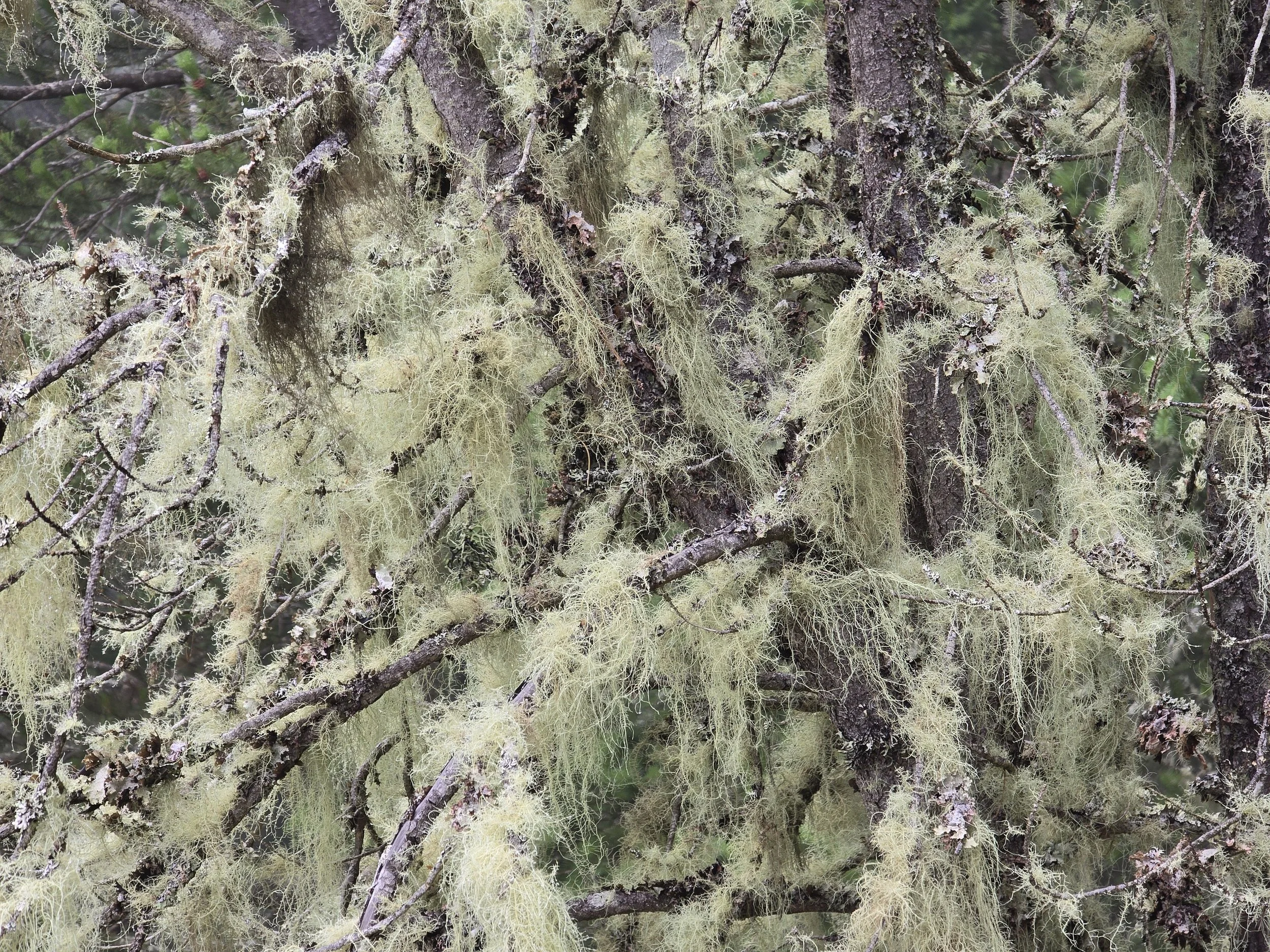 20250709_142635.jpg