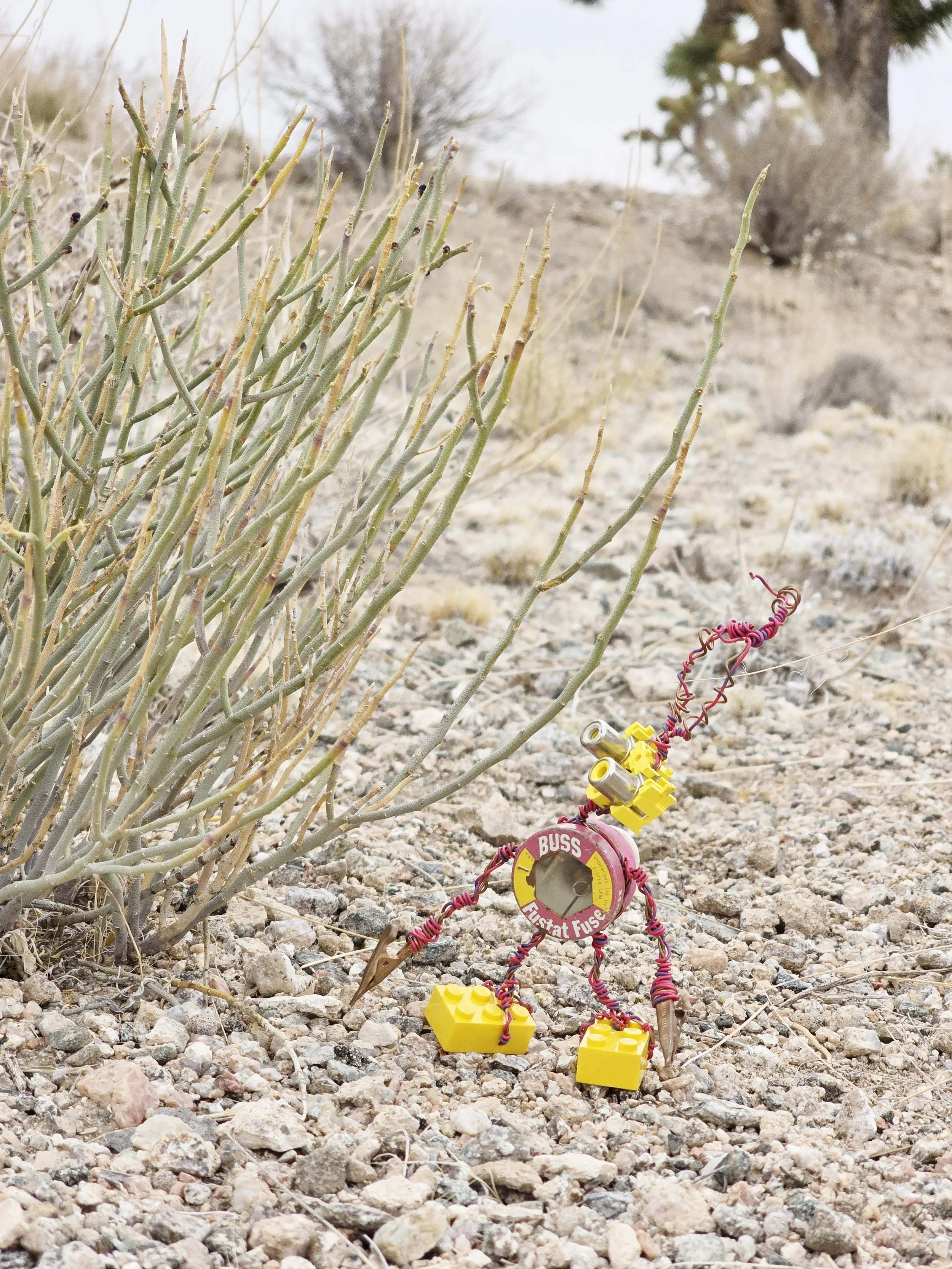 20250317_100009.jpg