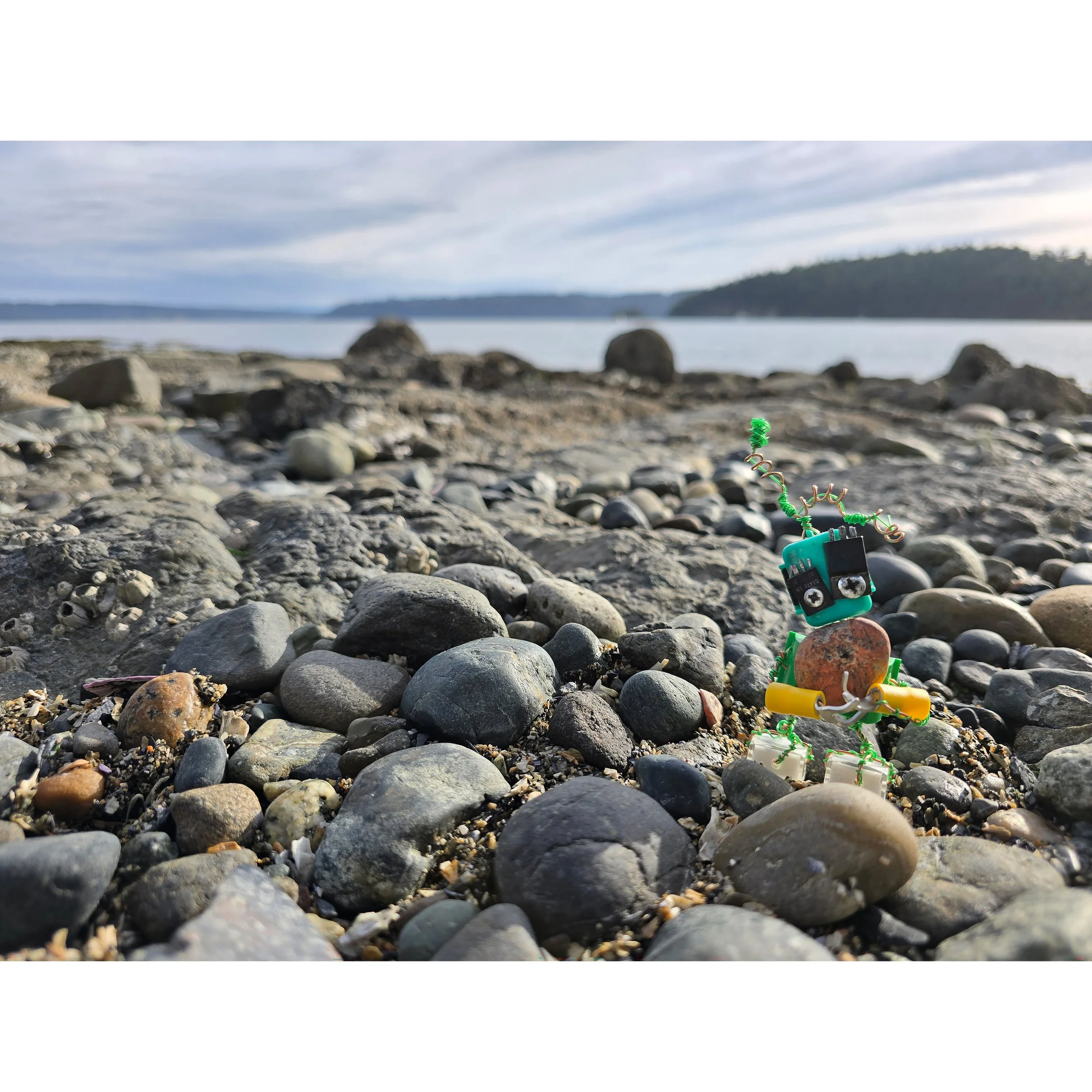 Poza finding Rocks Print
