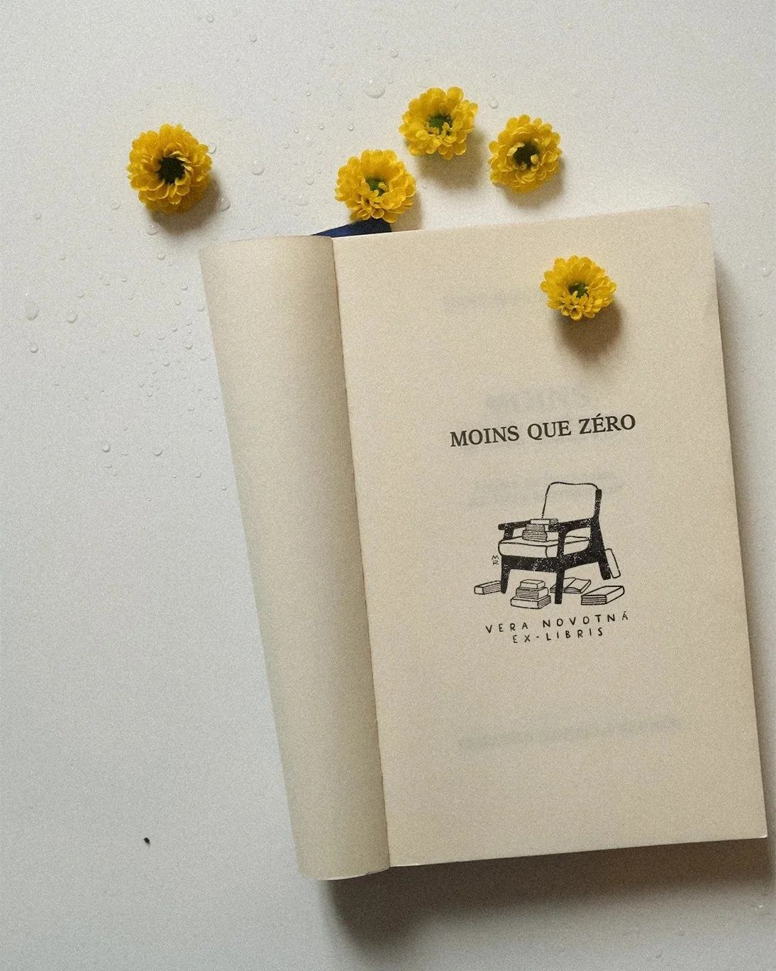 le-fauteuil-du-lecteur-BOOK.jpeg