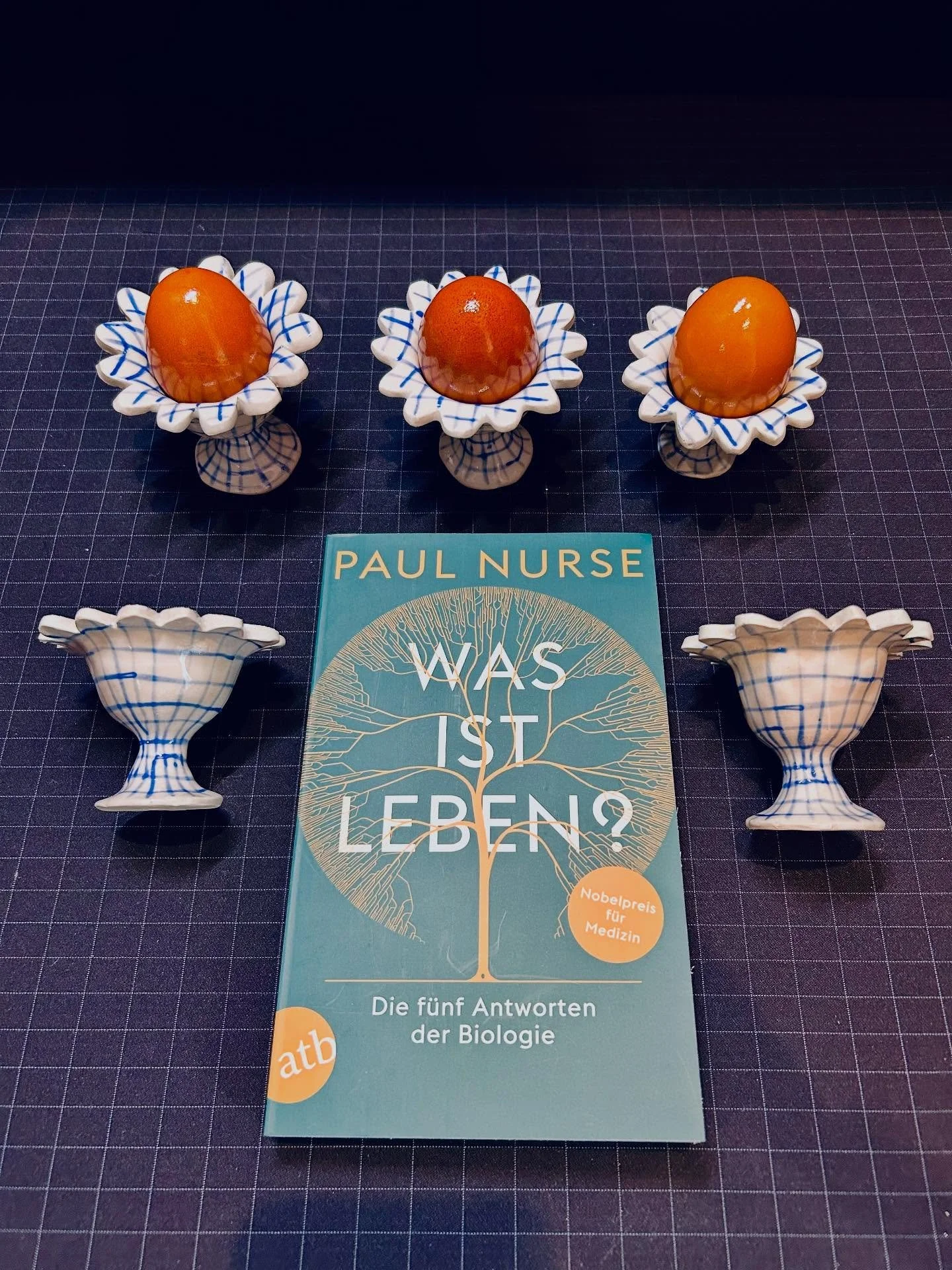 B&uuml;cher treffen Handwerkskunst: Im musette shop werden Themen im Dialog verschiedener Perspektiven erfahrbar.
Aktuell: &bdquo;Staunen in der Wissenschaft&ldquo;, mitkuratiert von Mikrobiologin Christa Schleper. Noch bis 18.04.